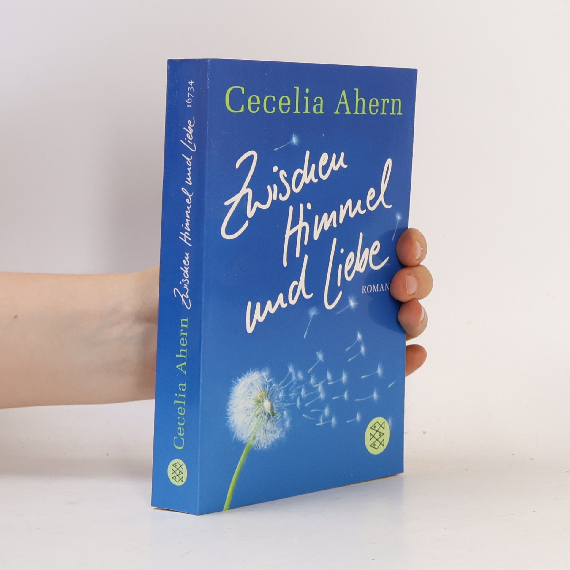 Cecelia Ahern Zwischen Himmel und Liebe