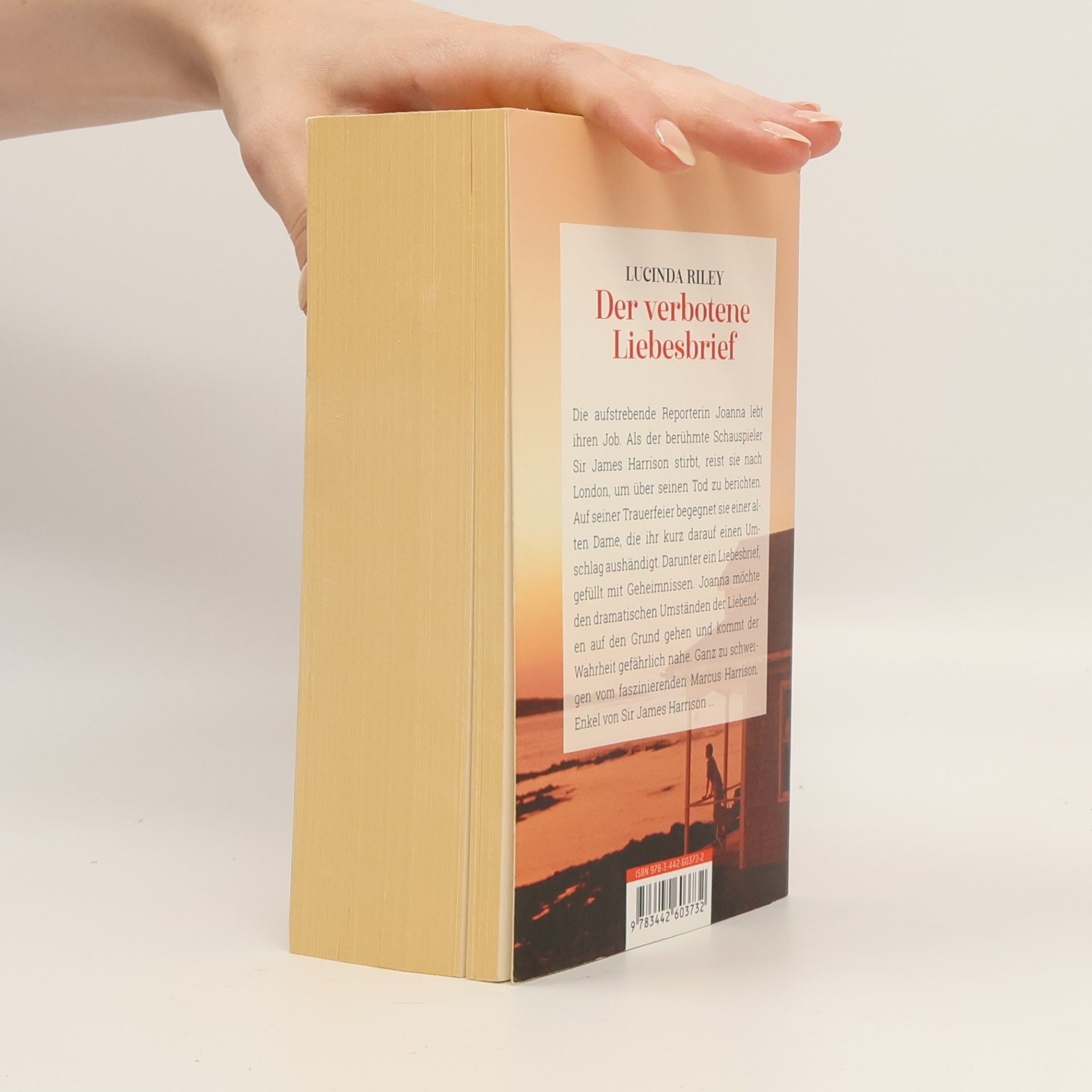 Lucinda Riley Der verbotene Liebesbrief
