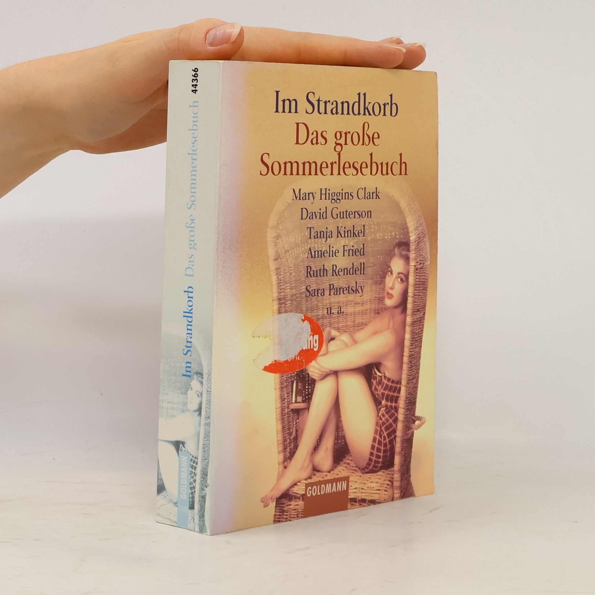 Frauke Brodd Im Strandkorb, Das große Sommerlesebuch. Geschichten v. Mary Higgins Clark, Tanja Kinkel, David Guterson u. a.
