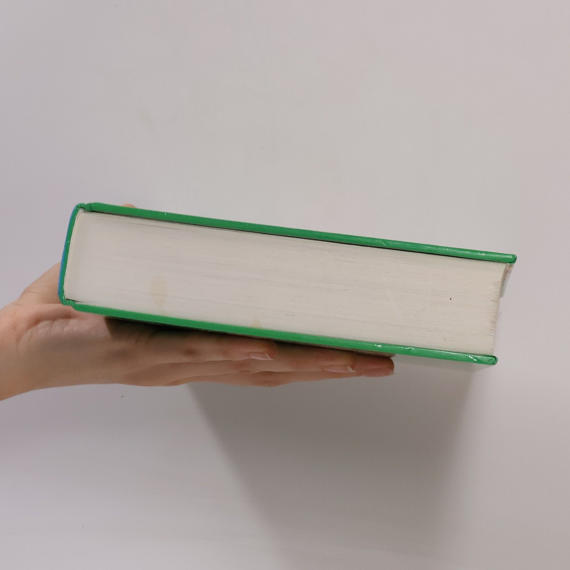 Gerhard Leibold Die moderne Naturheilpraxis