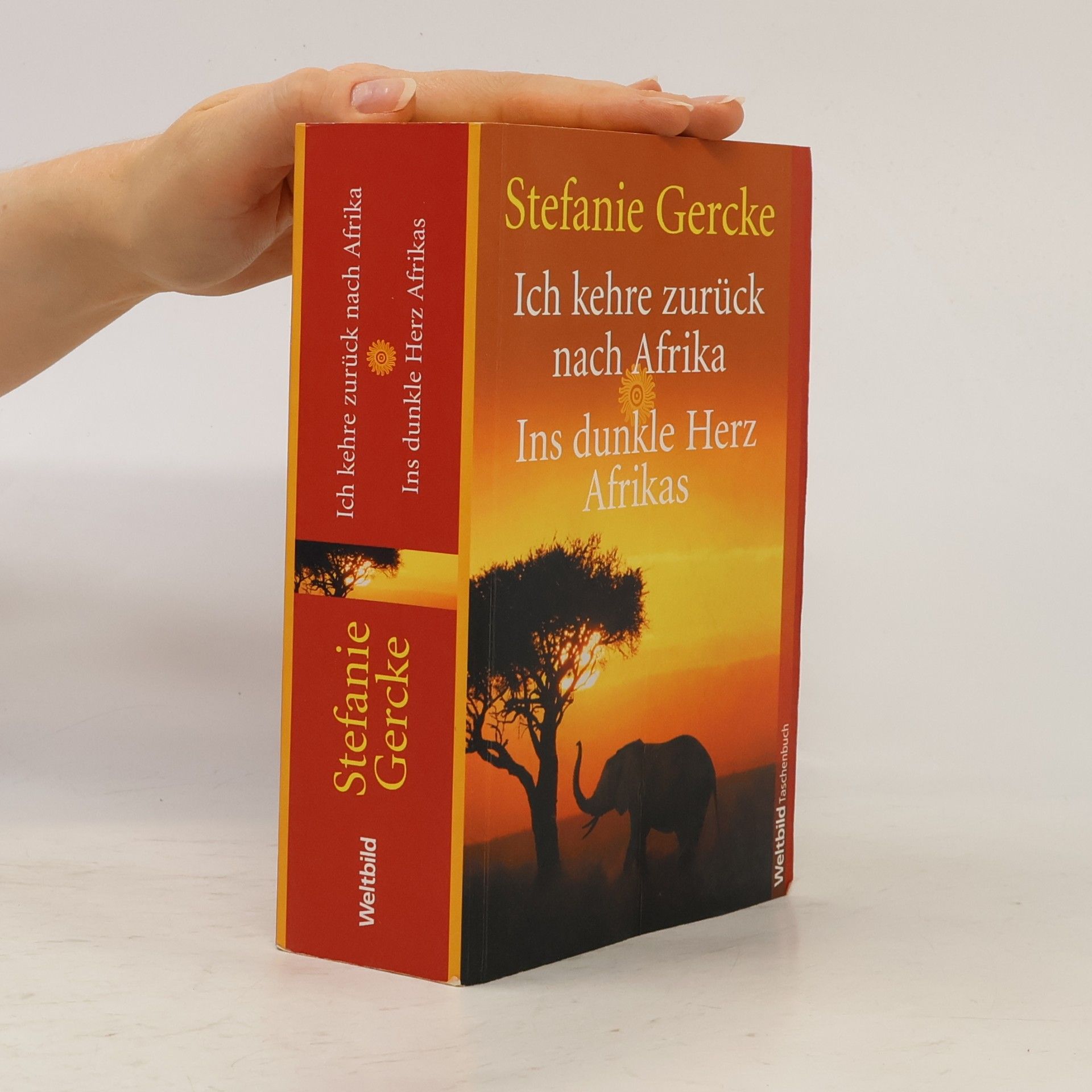Stefanie Gercke Ich kehre zurück nach Afrika