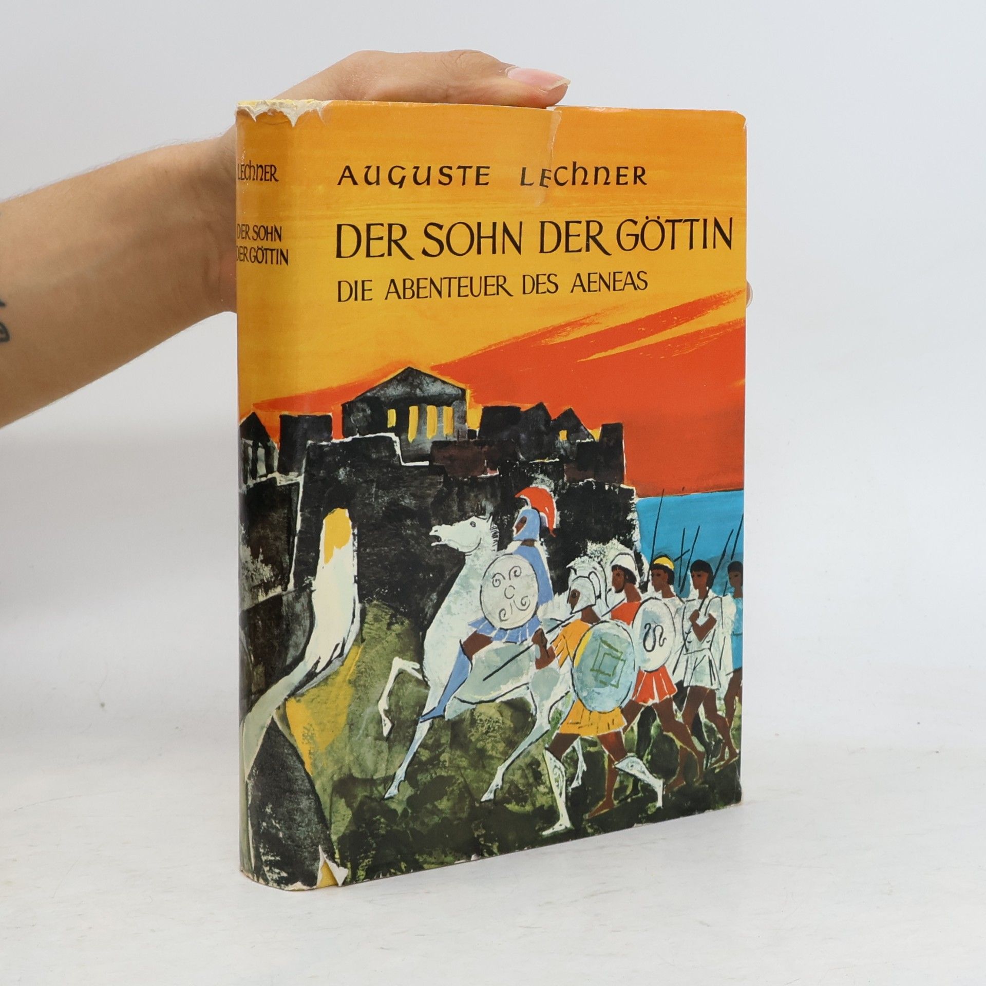 Der Sohn der Göttin. Die Abenteuer des Aeneas