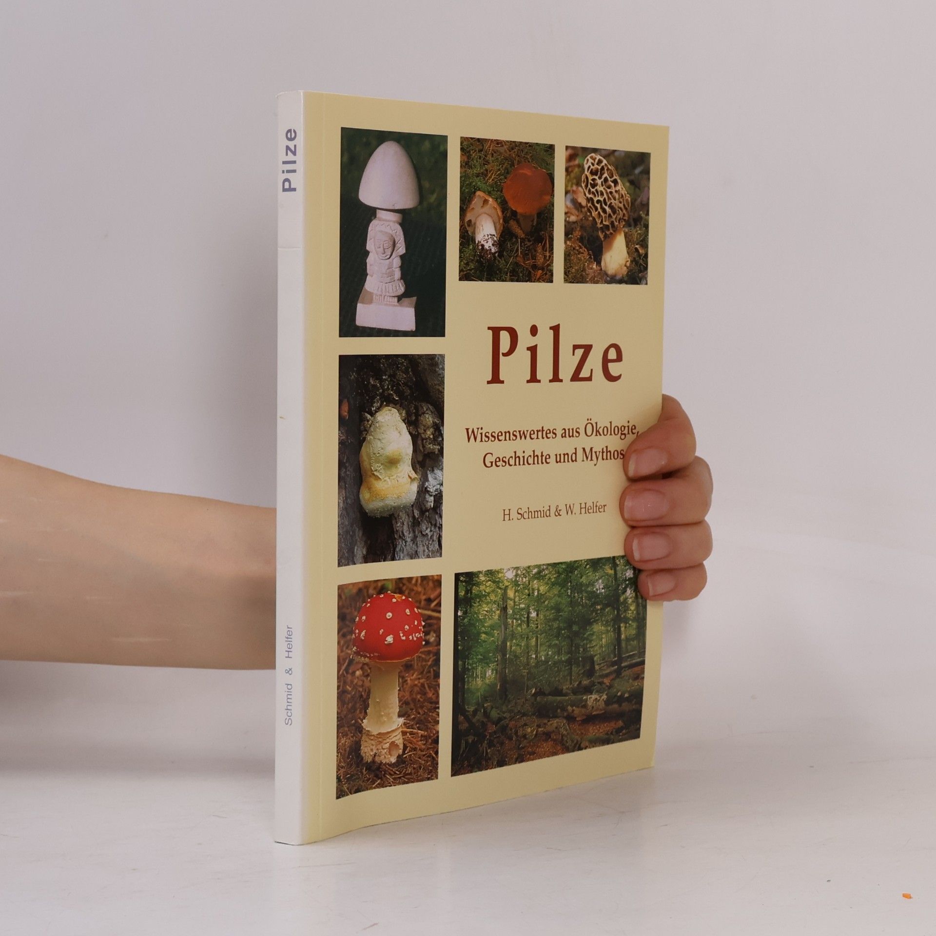 Helmuth Schmid Heckel Pilze