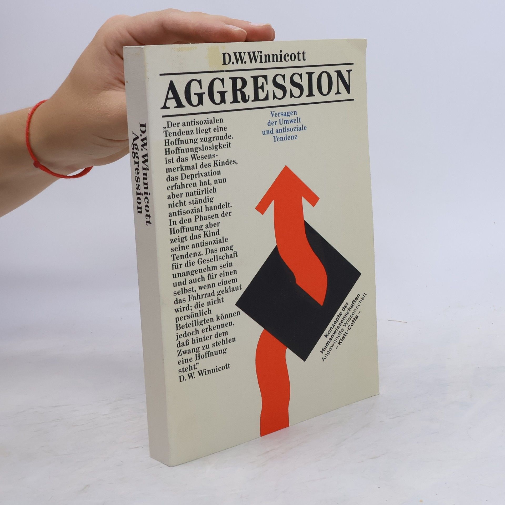 Donald Winnicott Aggression
