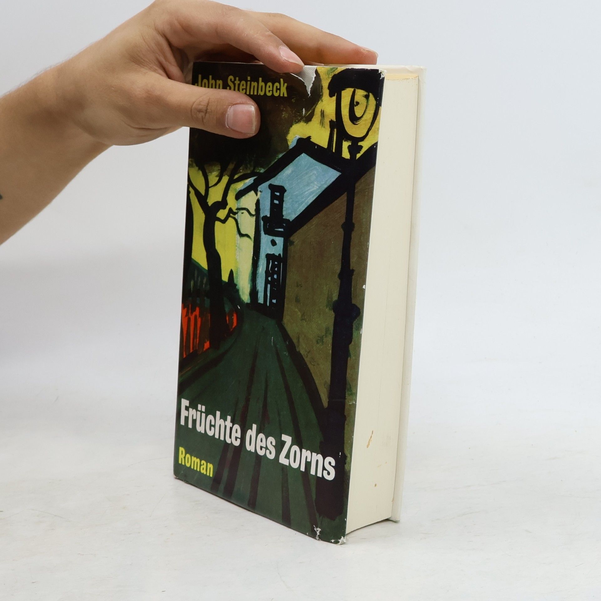 John Steinbeck Früchte des Zorns