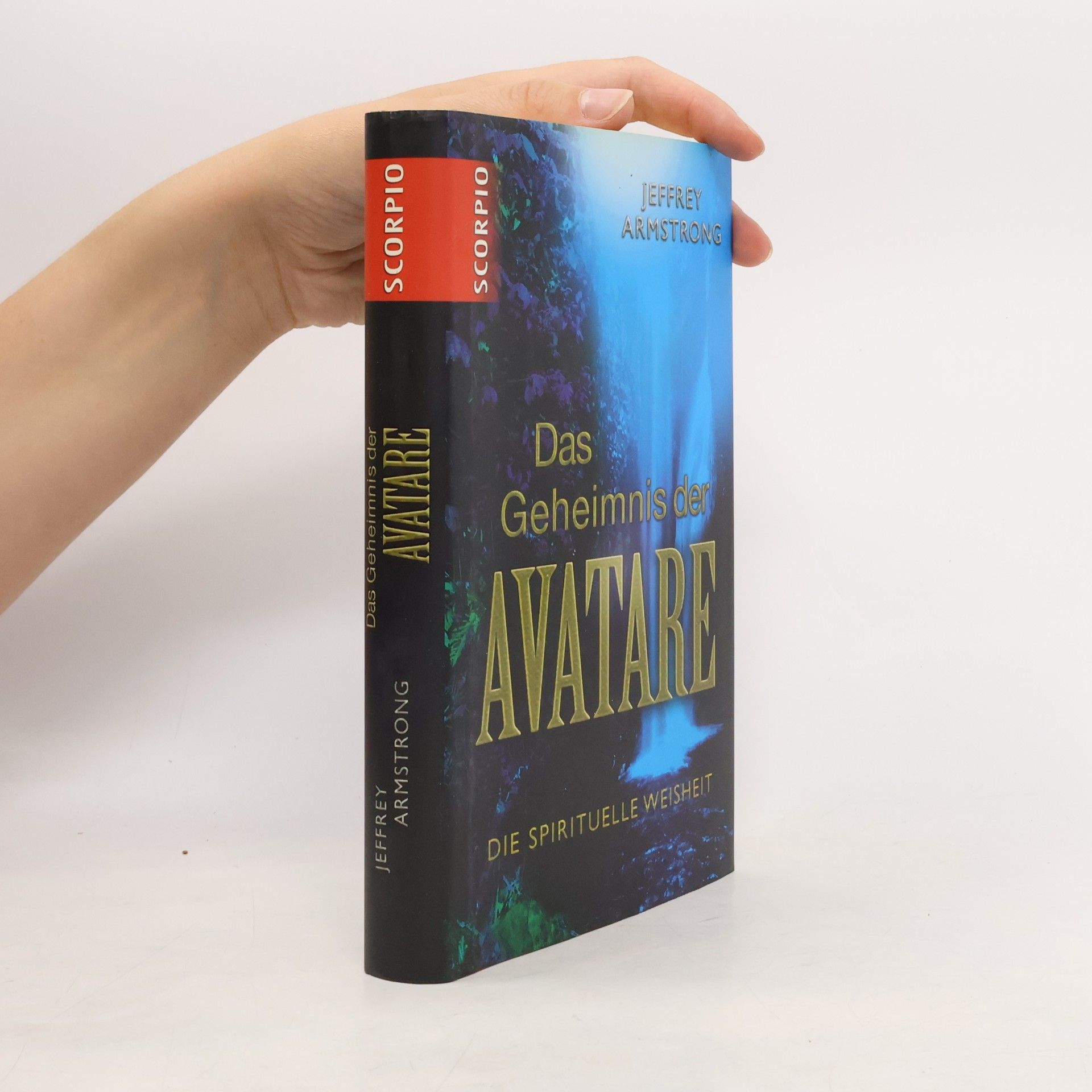 Jeffrey Armstrong Das Geheimnis der Avatare