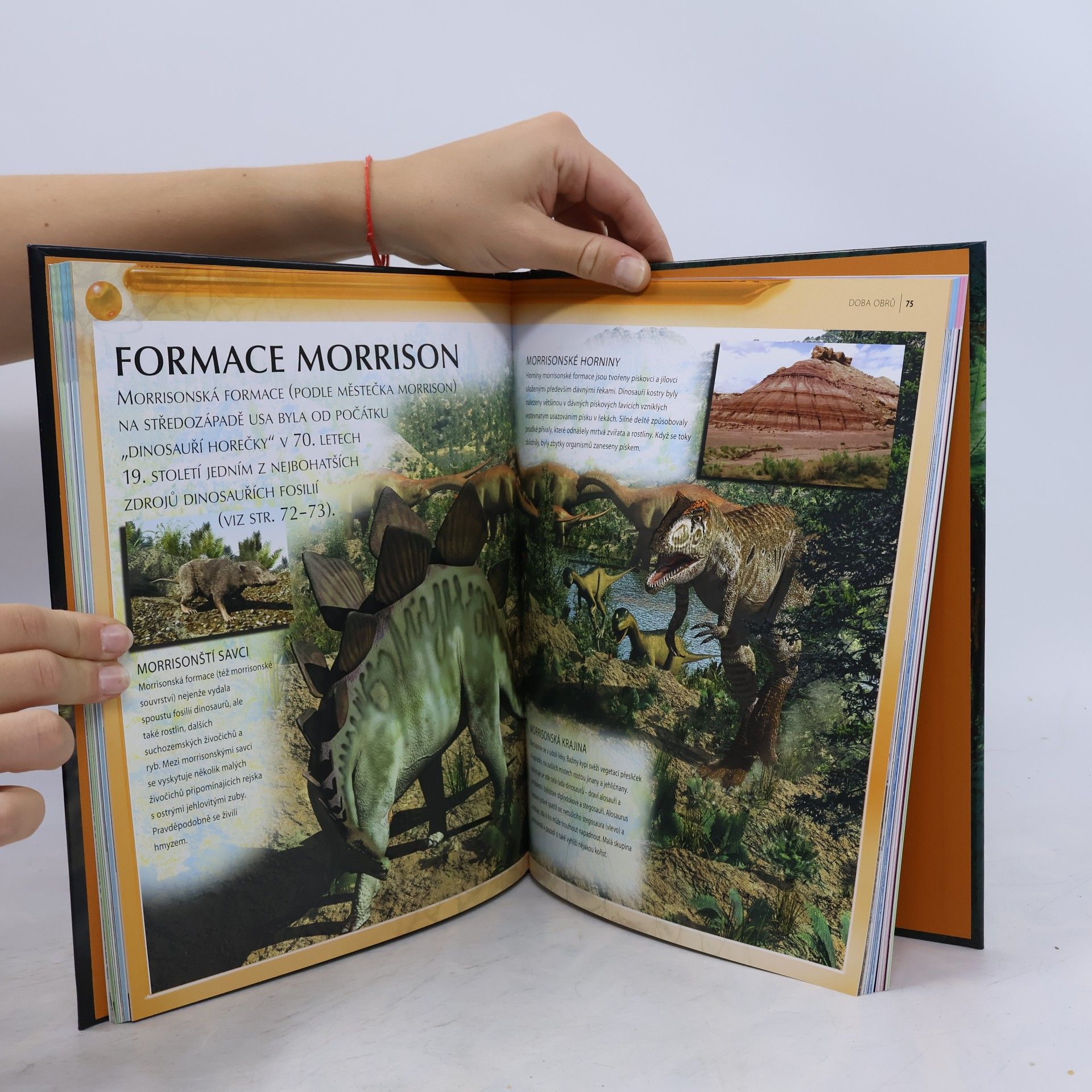Michael J. Benton Dinosauři : encyklopedie : poznávej věci kolem sebe