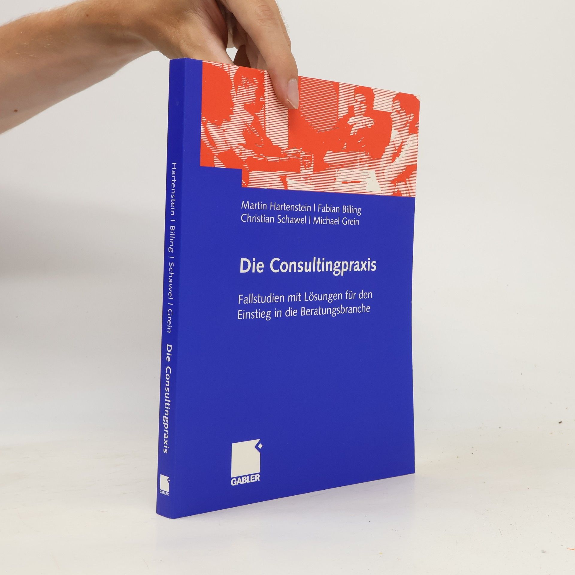 Michael Grein Die Consultingpraxis