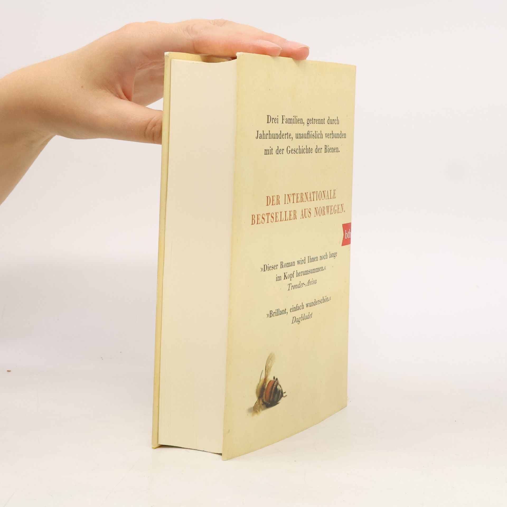 Maja Lunde Die Geschichte der Bienen