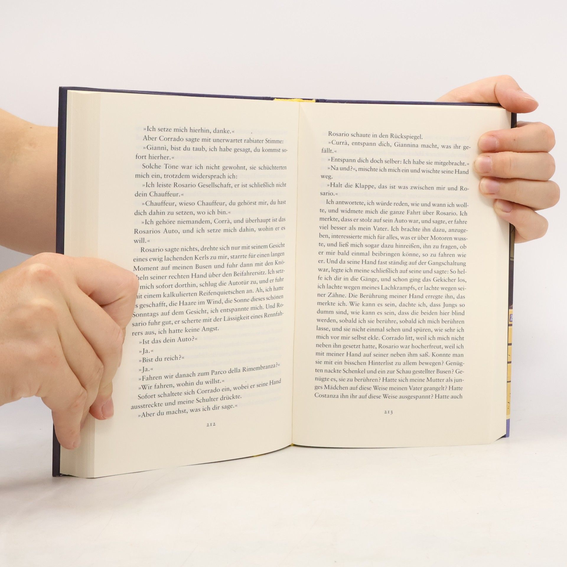 Elena Ferrante Das lügenhafte Leben der Erwachsenen