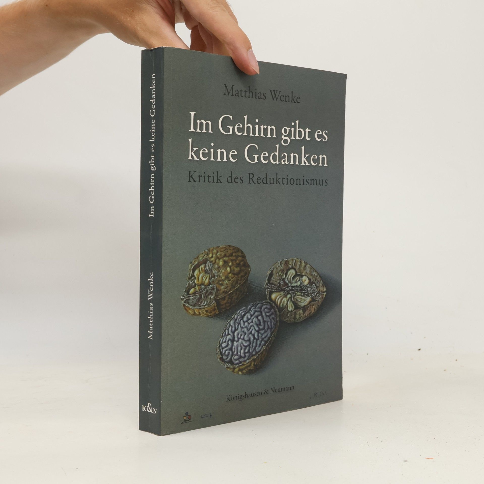 Matthias Wenke Im Gehirn gibt es keine Gedanken