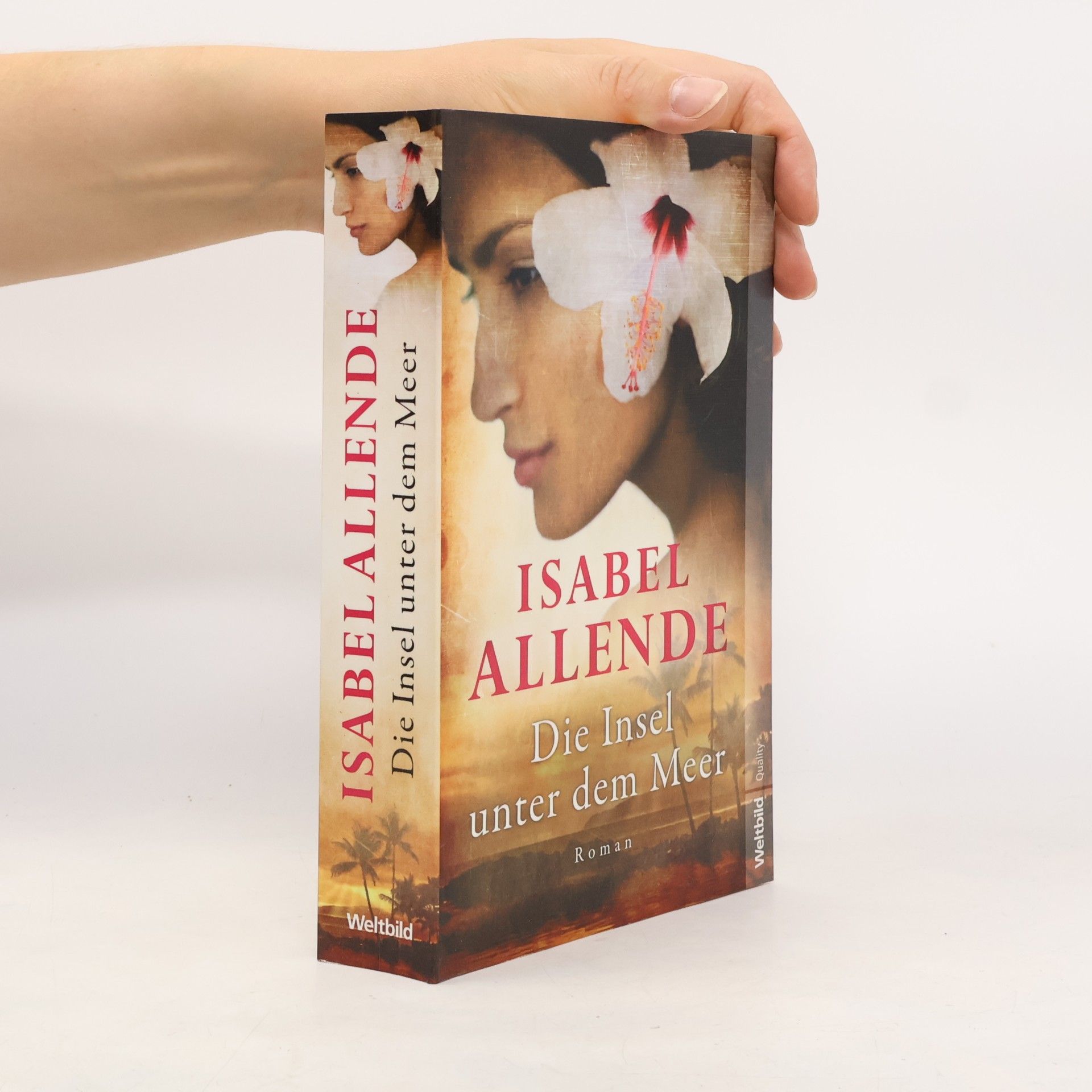 Isabel Allende Die Insel unter dem Meer