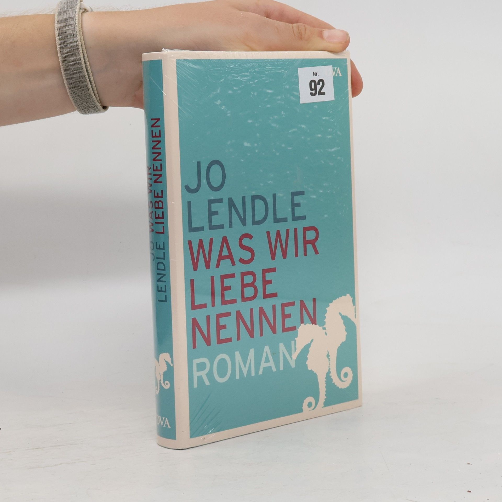 Jo Lendle Was wir Liebe nennen