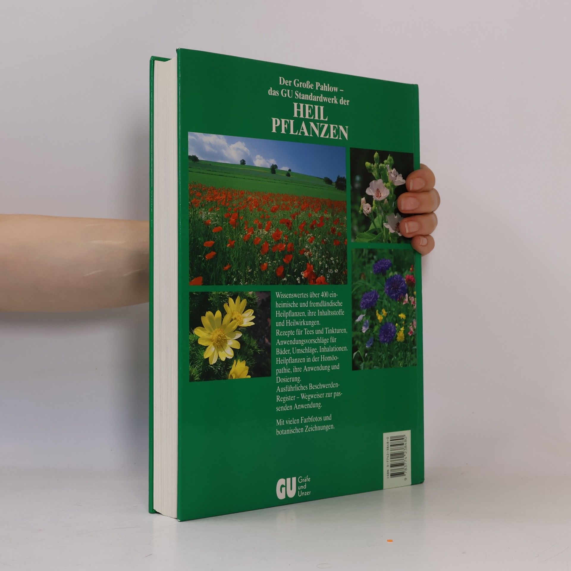 Mannfried Pahlow Das Große Buch der Heilpflanzen. Gesund durch die Heilkräfte der Natur