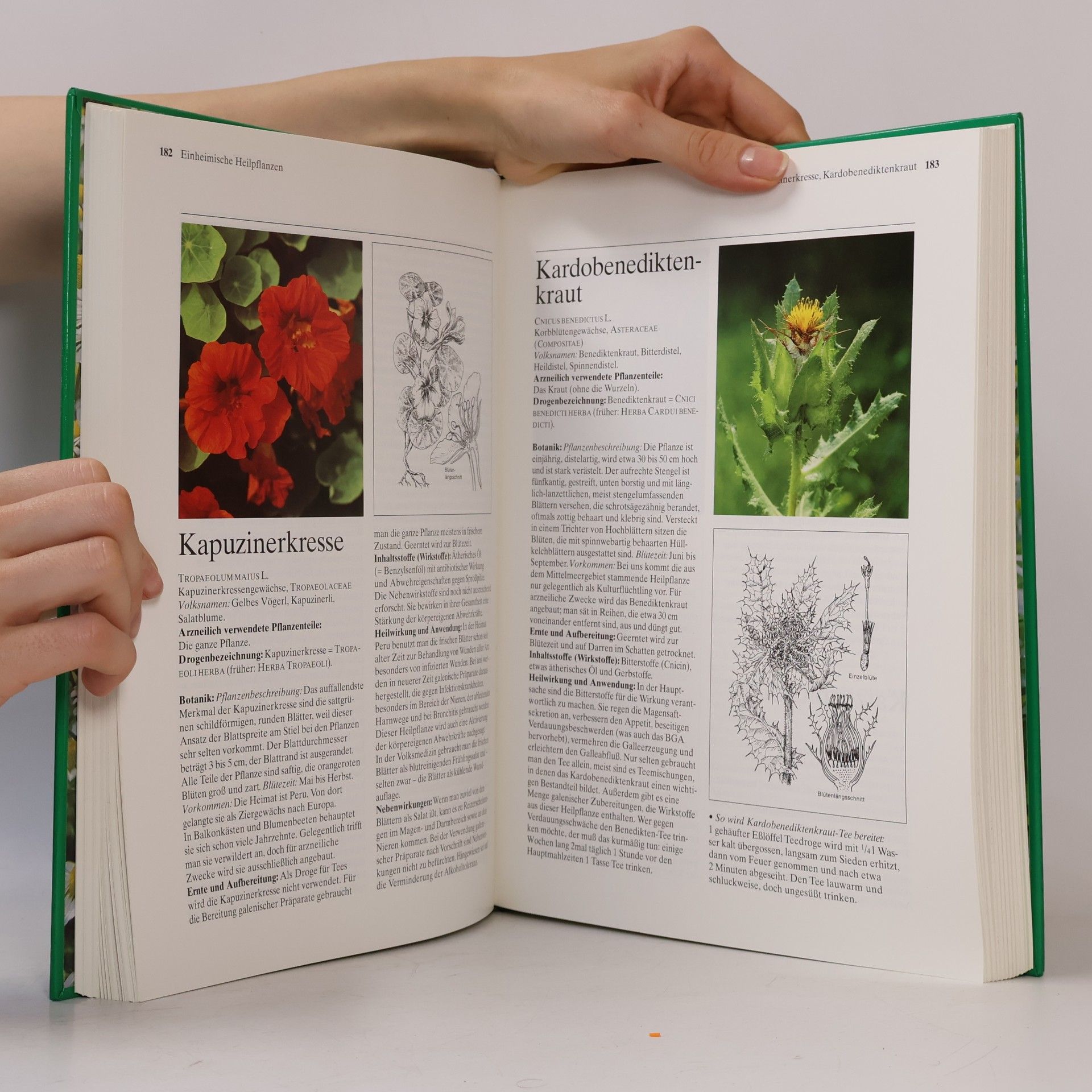 Mannfried Pahlow Das Große Buch der Heilpflanzen. Gesund durch die Heilkräfte der Natur