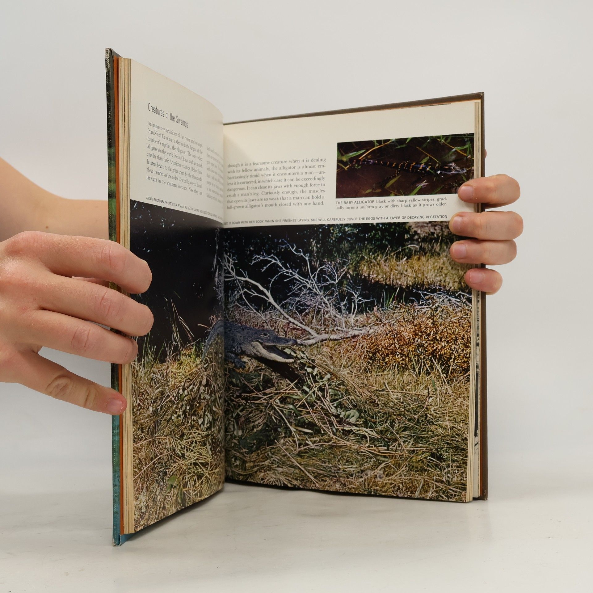 Peter Farb The Land and Wildlife of North America