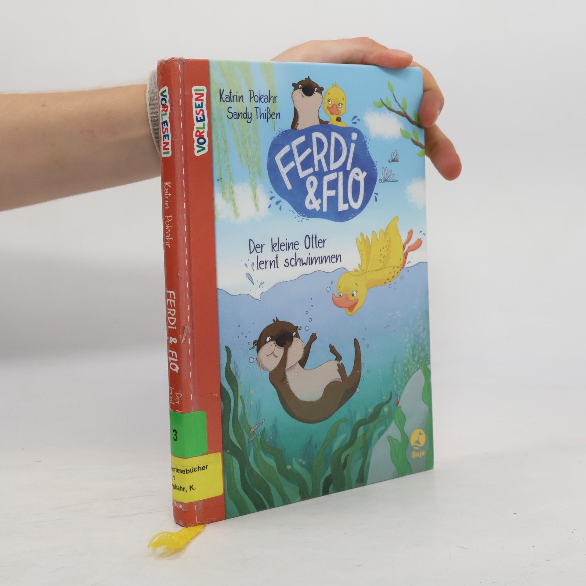 Katrin Pokahr Ferdi & Flo - der kleine Otter lernt schwimmen