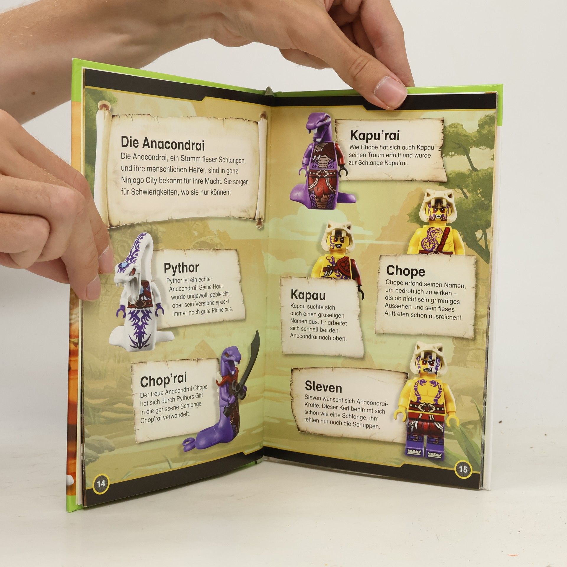 Hannah Dolan LEGO Ninjago masters of Spinjitzu. Die große Verfolgungsjagd