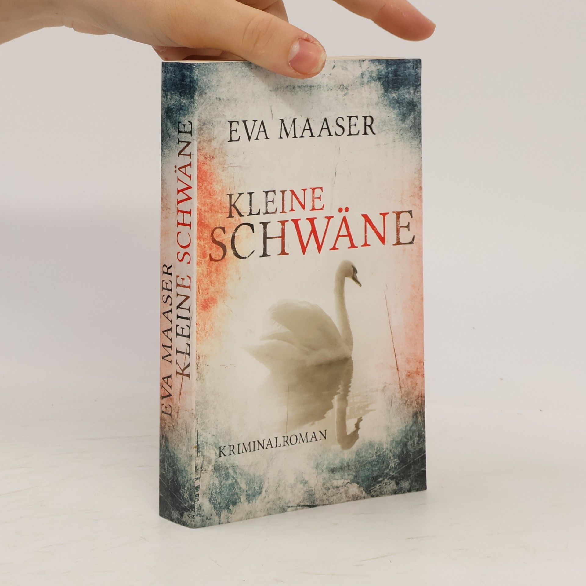 Eva Maaser Kleine Schwäne