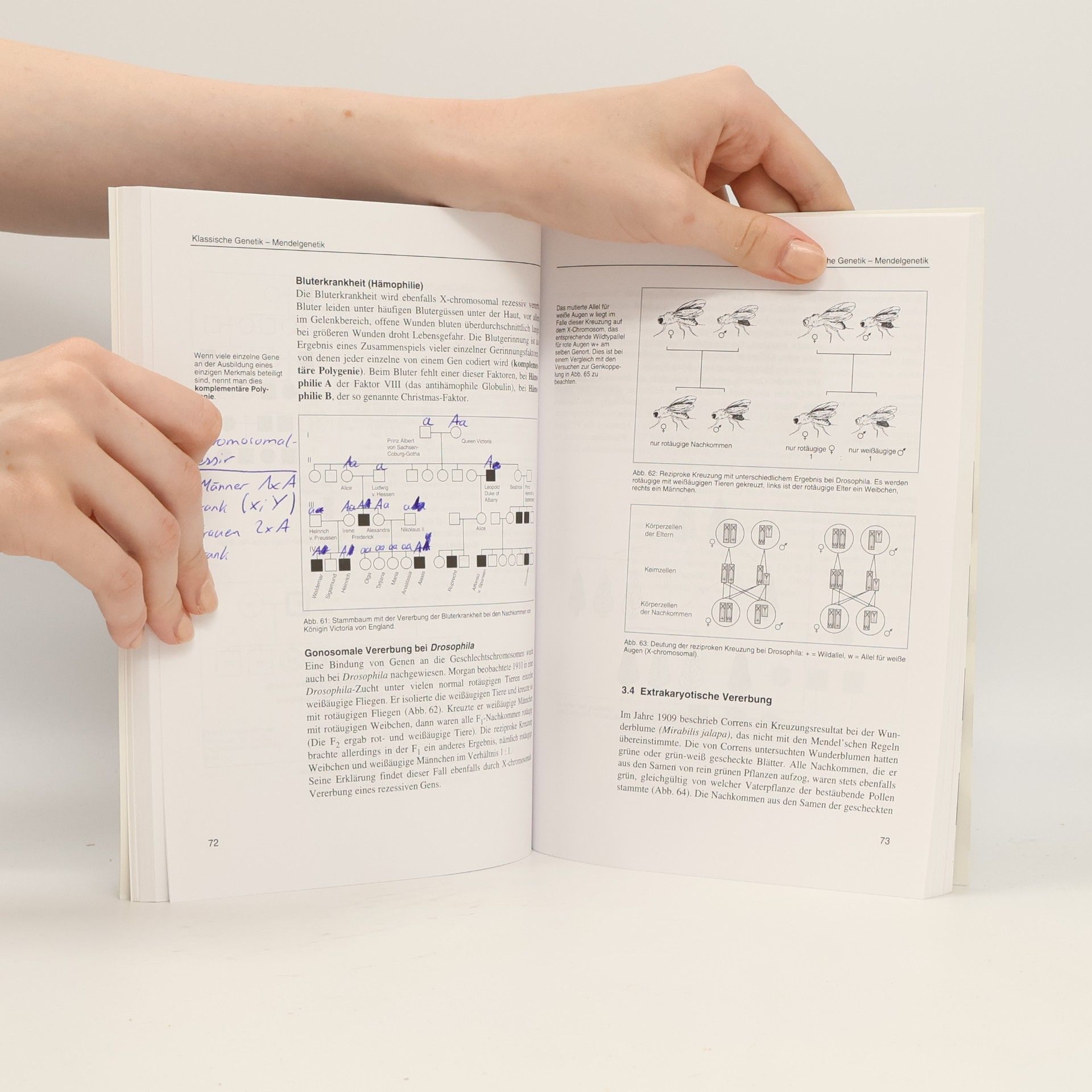 Albert Kollmann Abitur-Wissen Biologie: Genetik