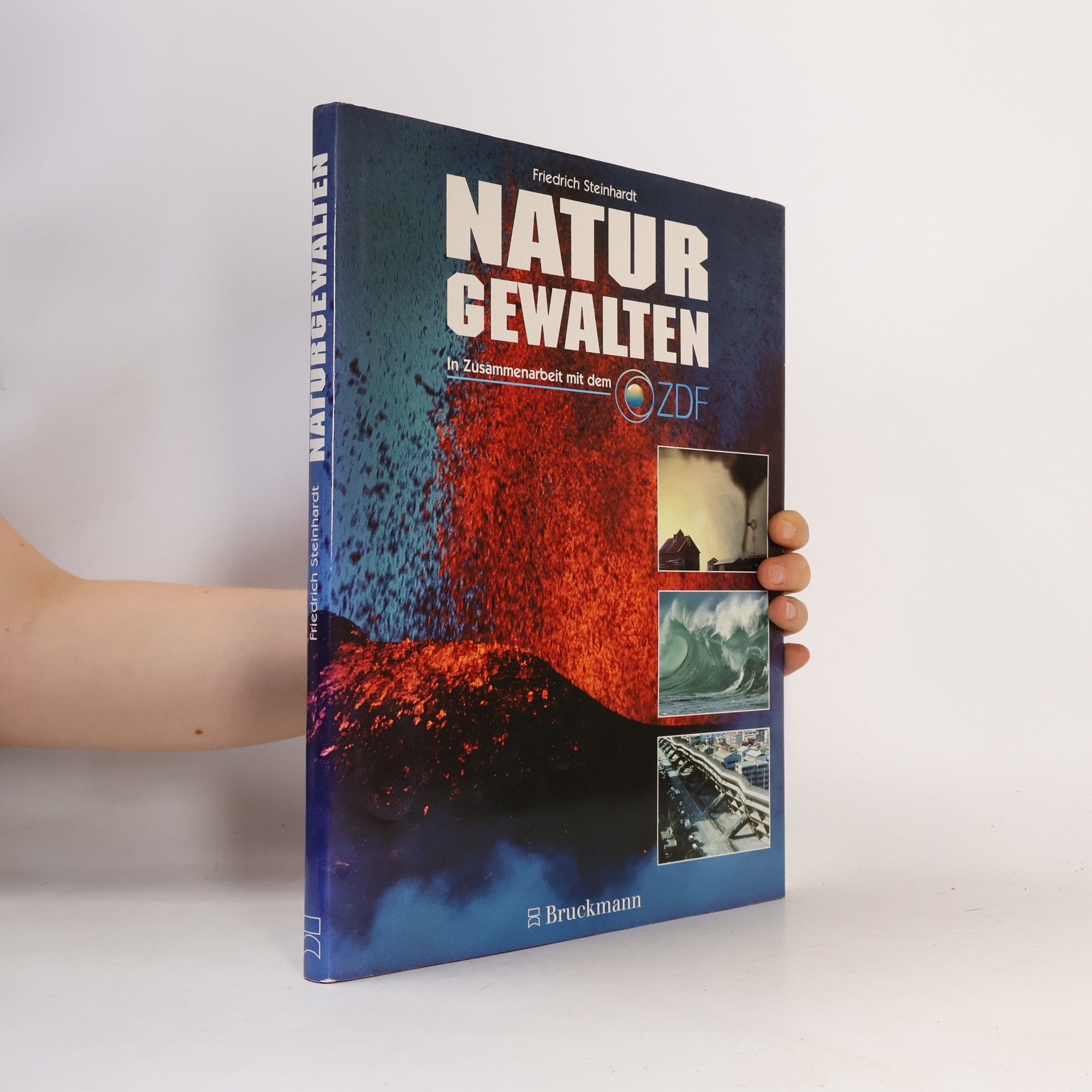 Friedrich Steinhardt Naturgewalten