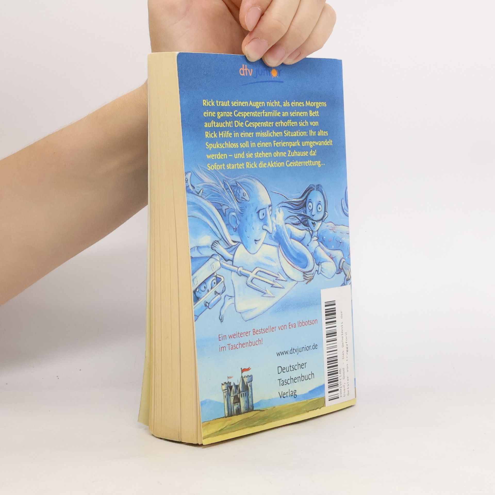 Eva Ibbotson Das Geheimnis der Geister von Craggyford