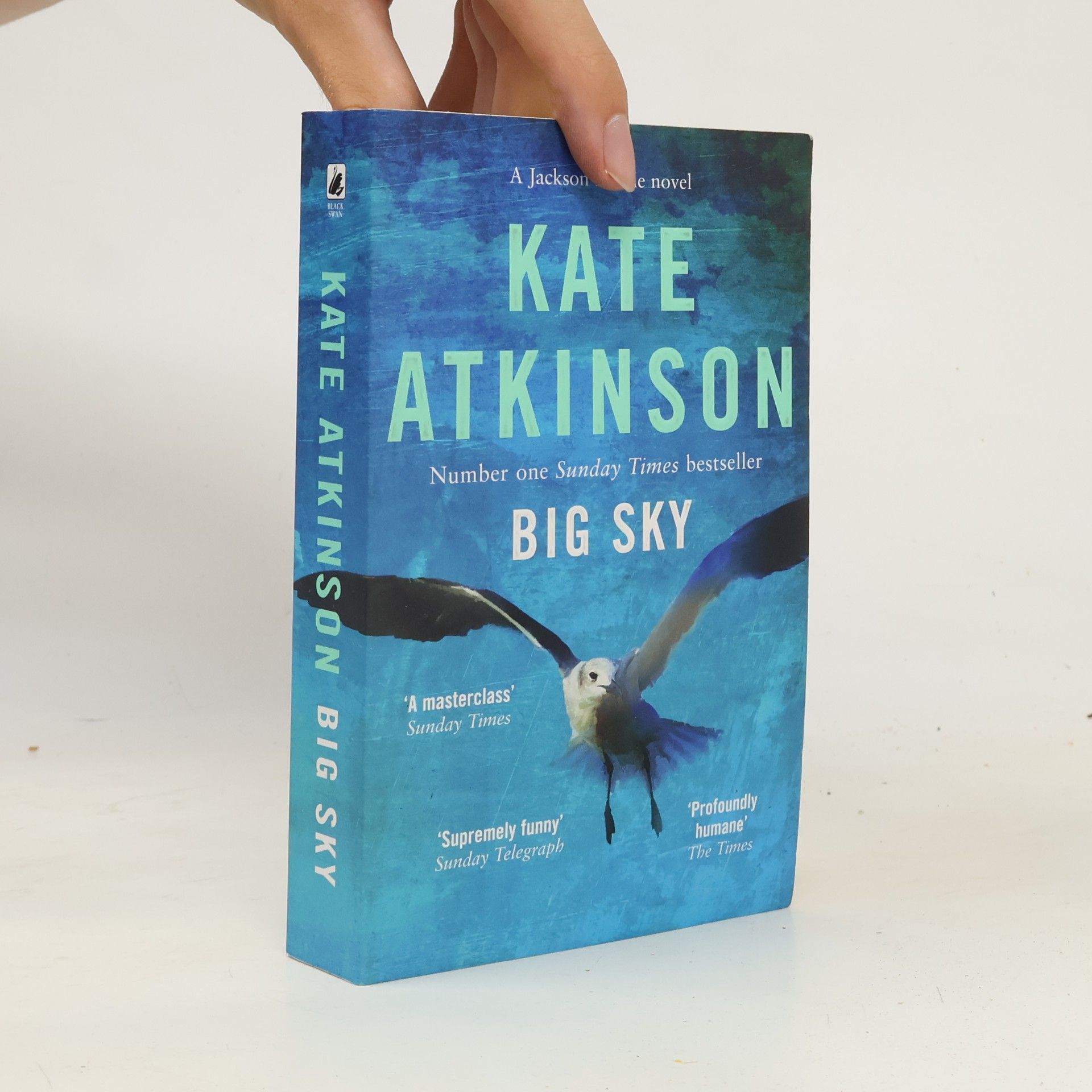 Kate Atkinson Big sky