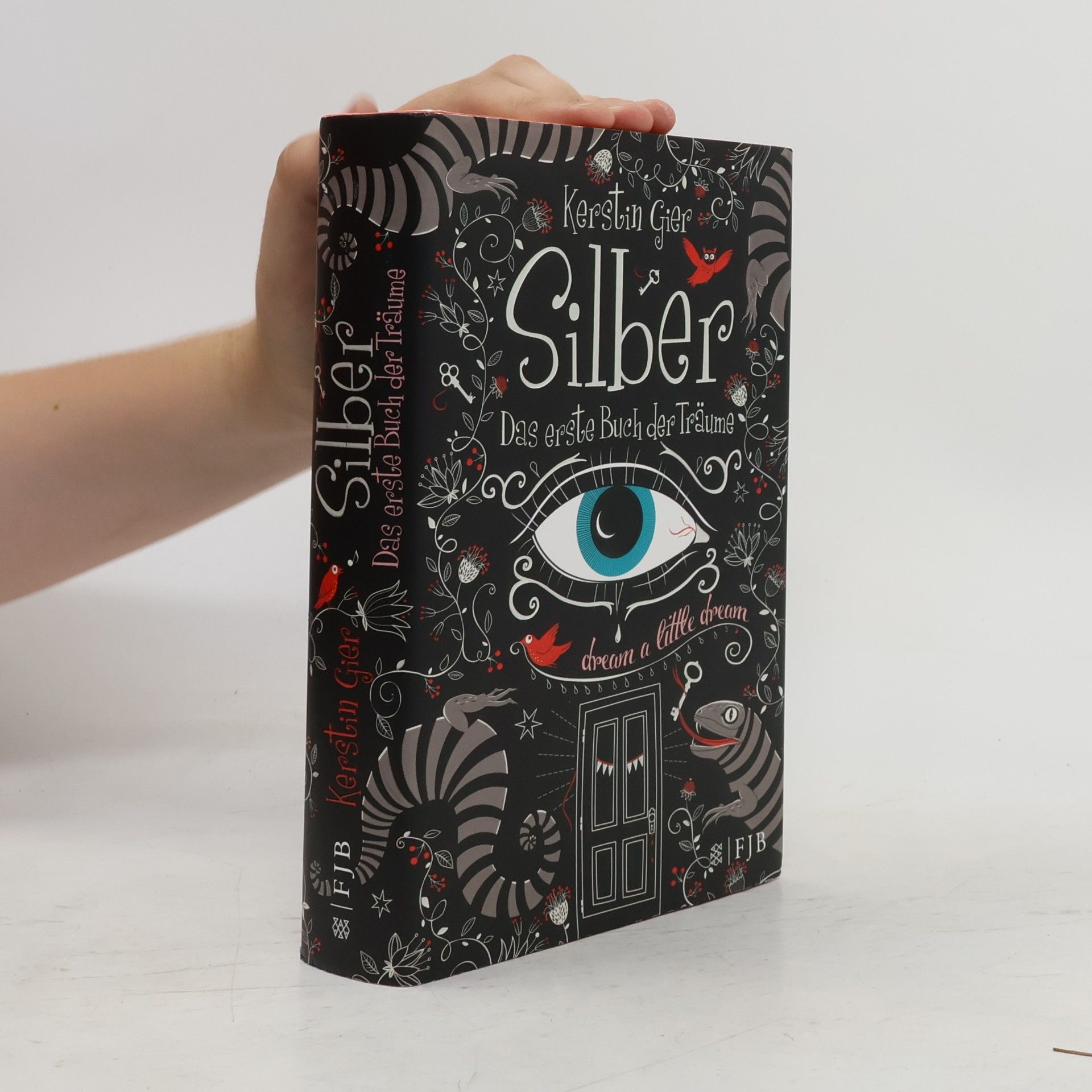 Kerstin Gier Silber - Das erste Buch der Träume
