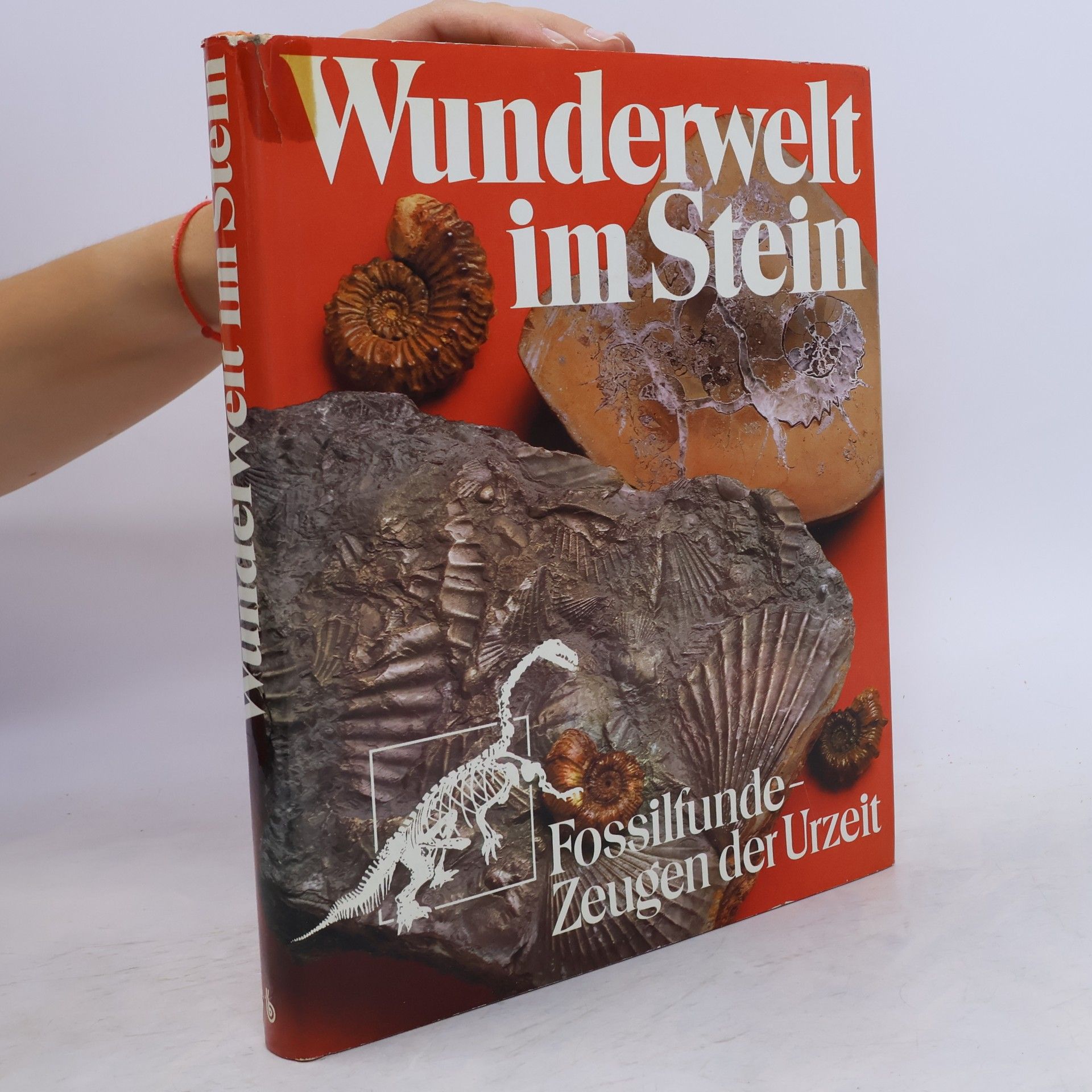Rudolf Mundlos Wunderwelt im Stein
