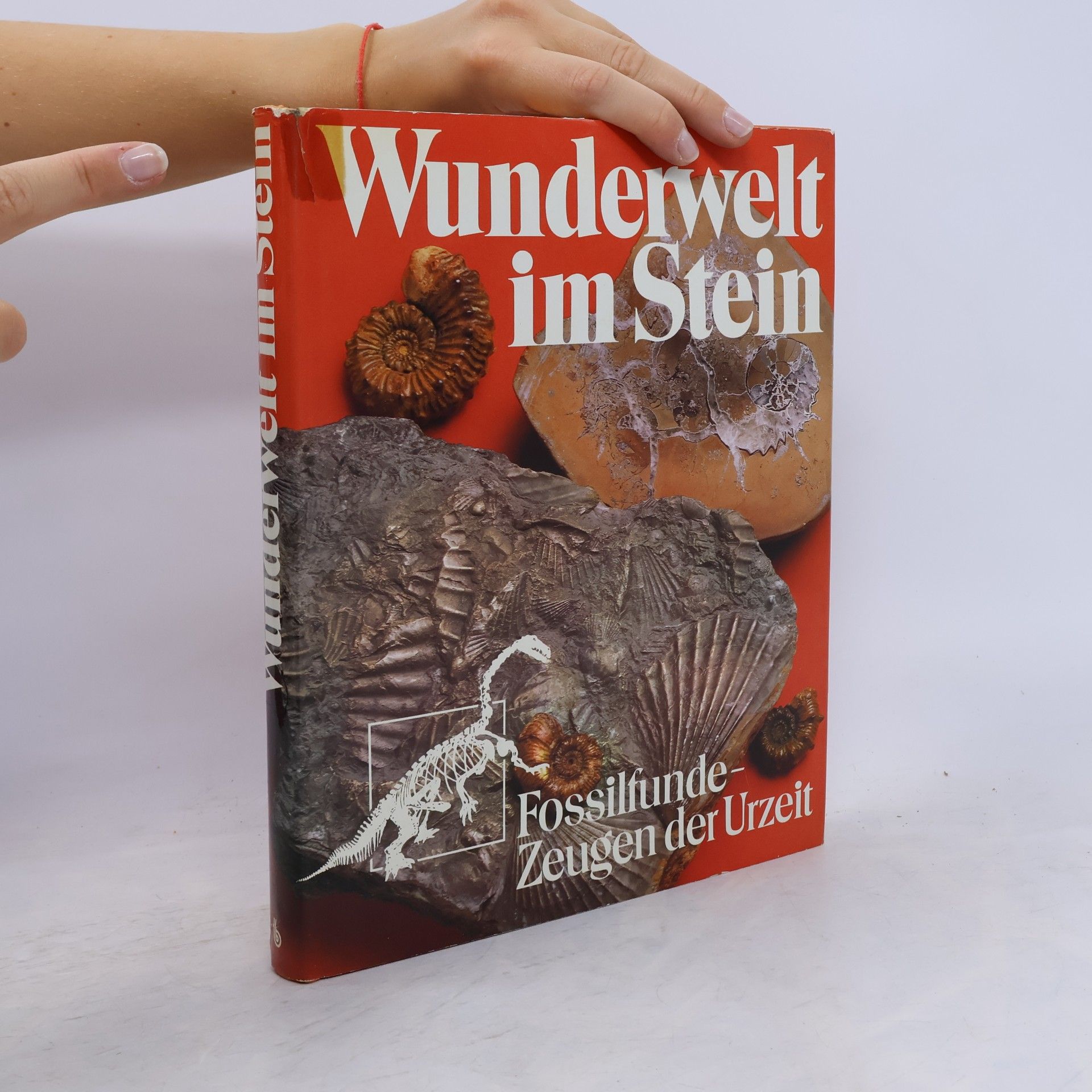 Rudolf Mundlos Wunderwelt im Stein