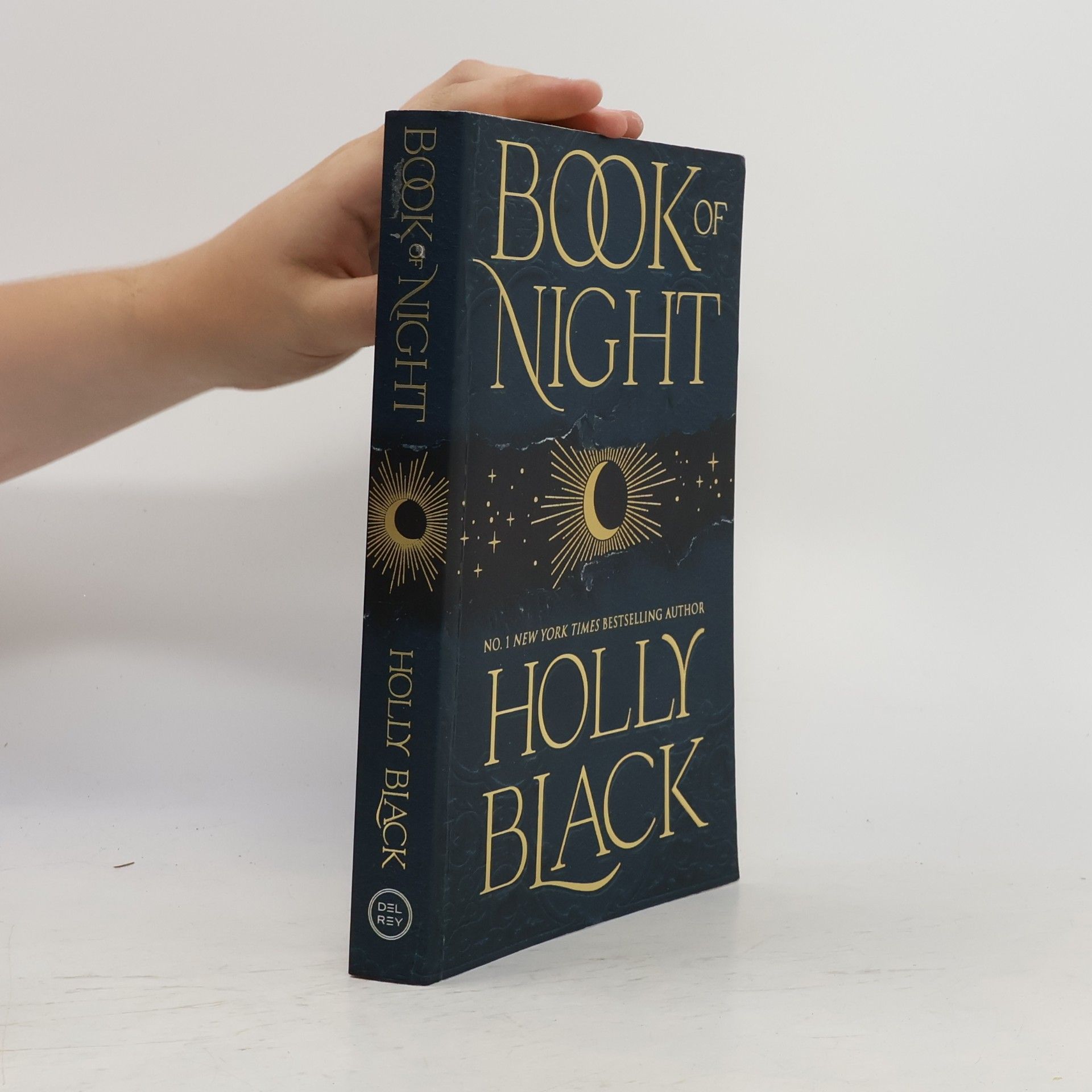 Holly Black Book of Night