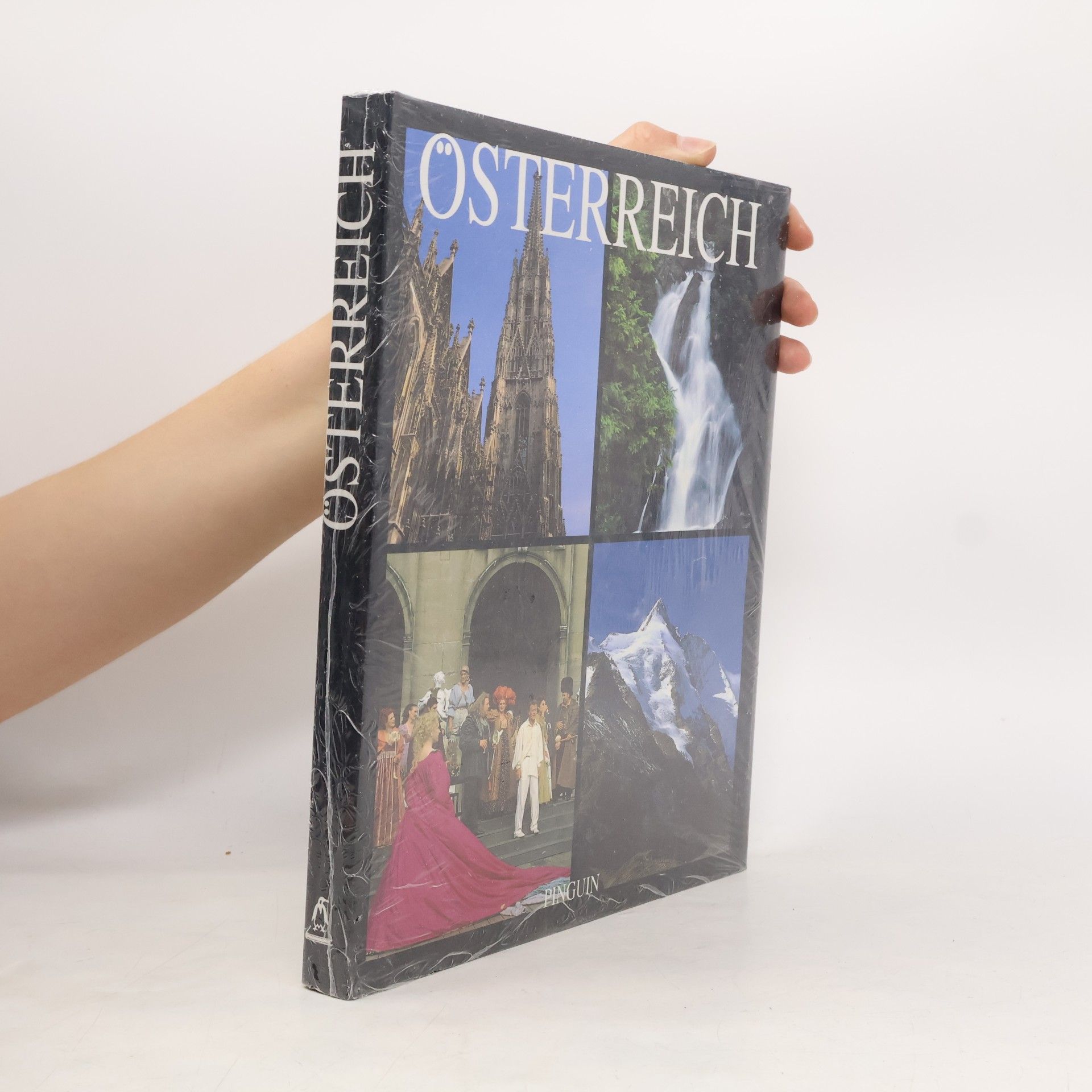 Pia Maria Plechl Österreich : Landschaft, Kunst und Kultur