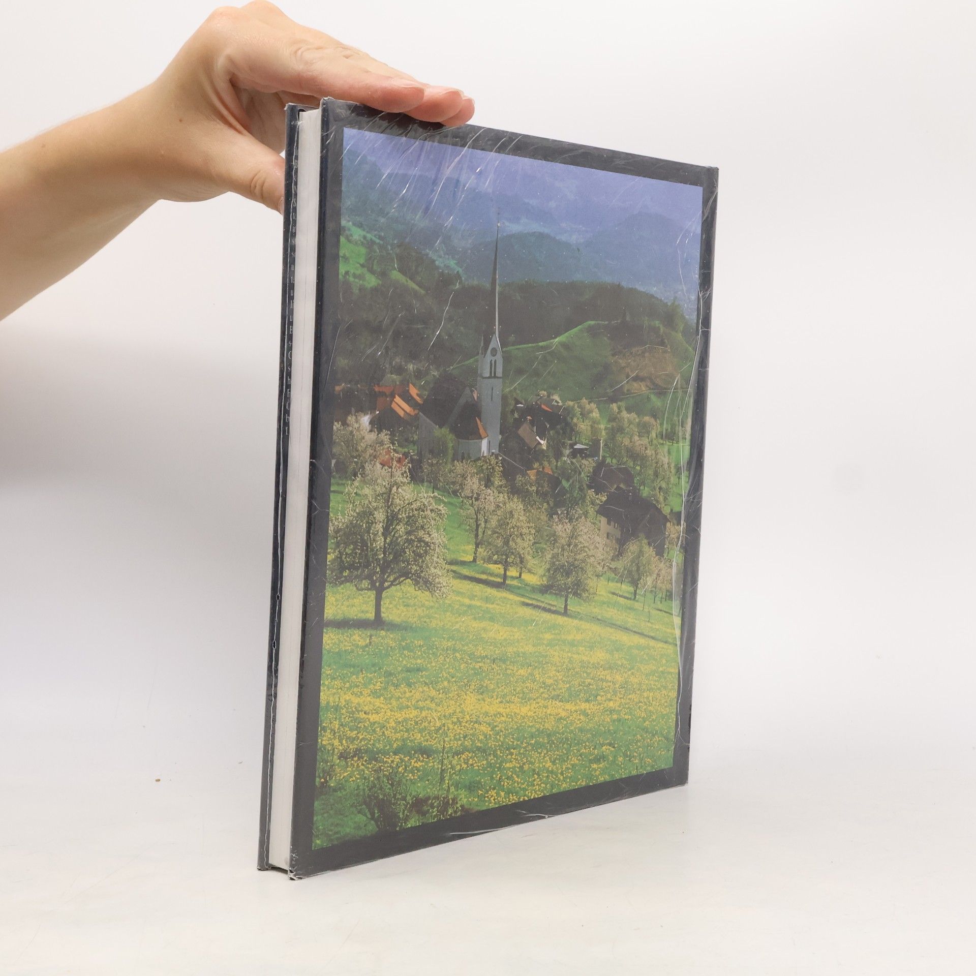 Pia Maria Plechl Österreich : Landschaft, Kunst und Kultur