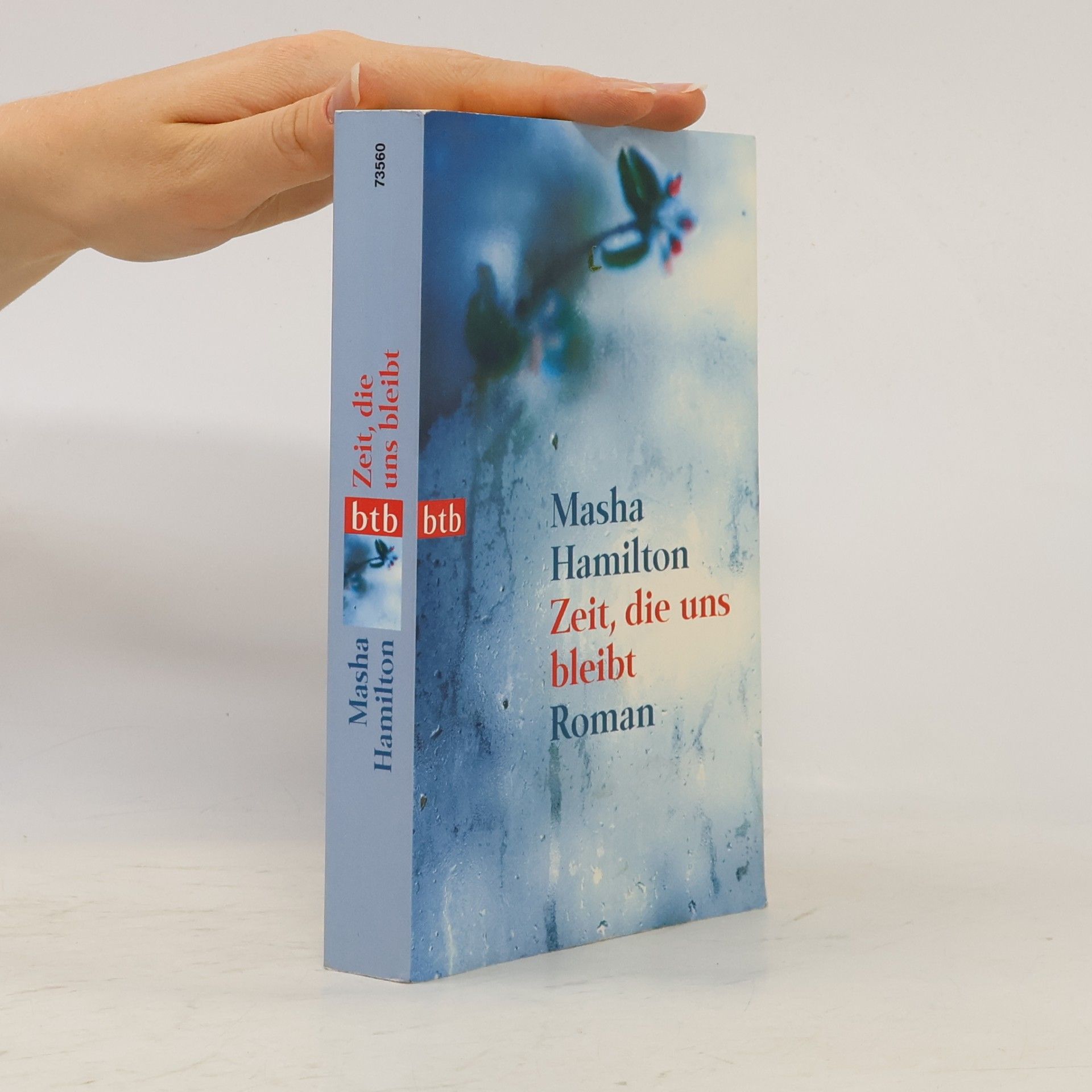 Masha Hamilton Zeit, die uns bleibt