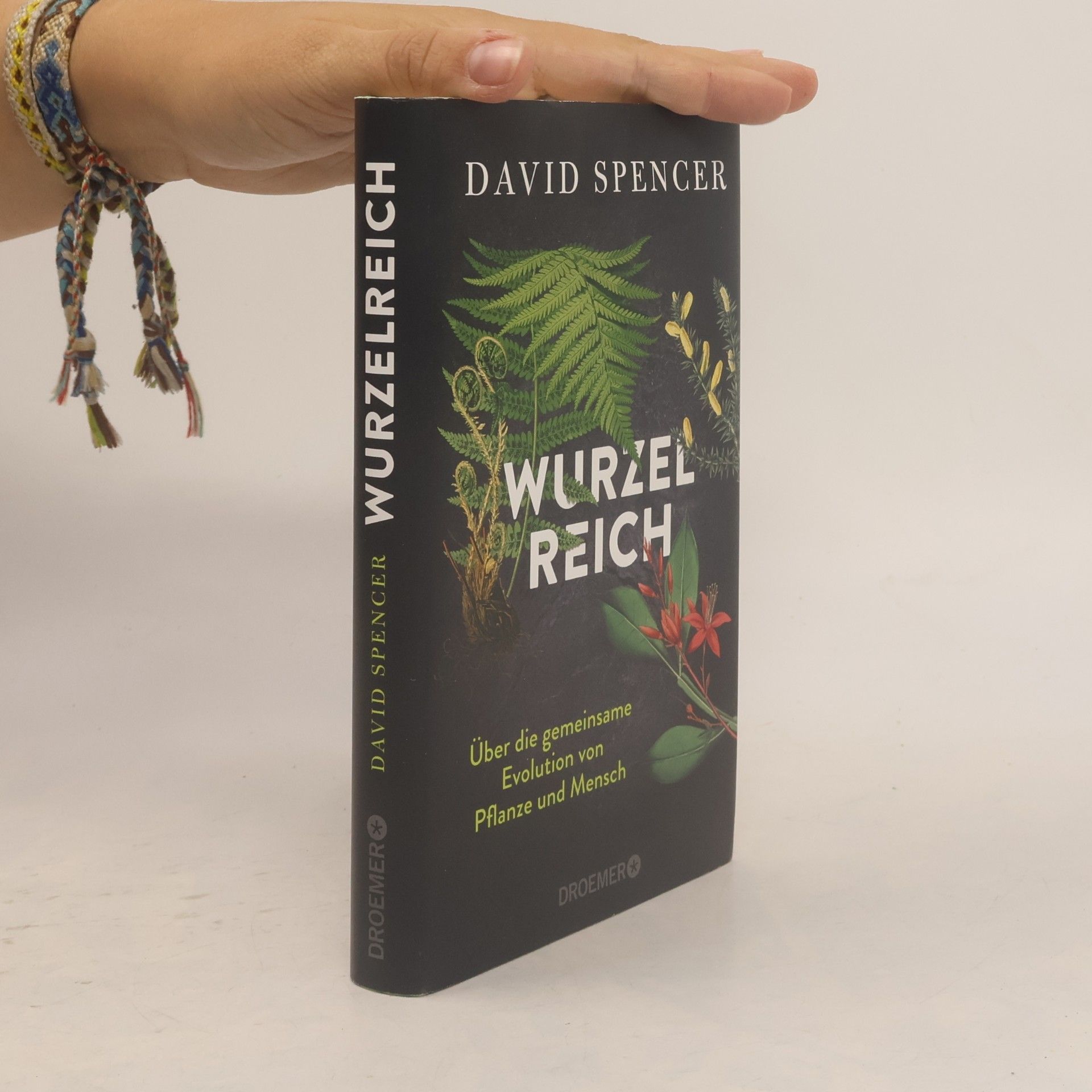 David Spencer Wurzelreich