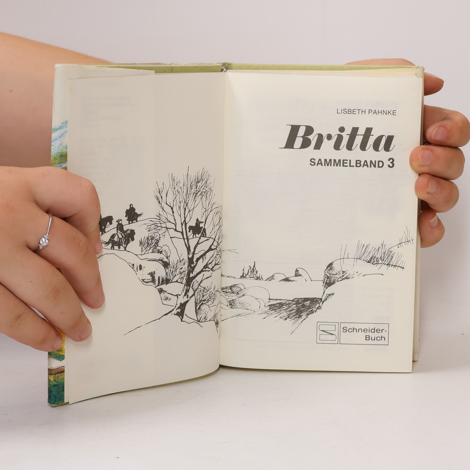 Lisbeth Pahnke Britta. Sammelband 3