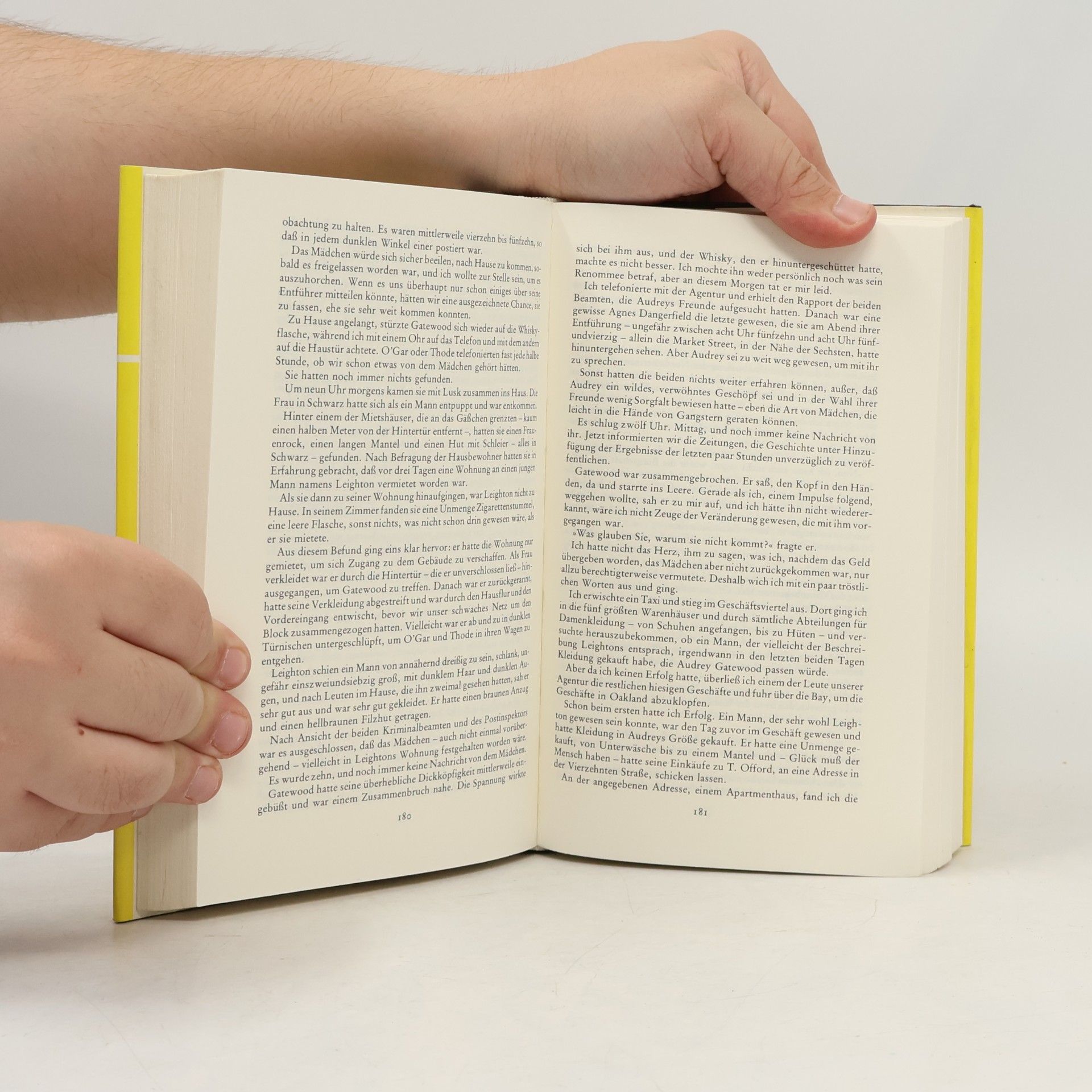 Dashiell Hammett Das große Umlegen