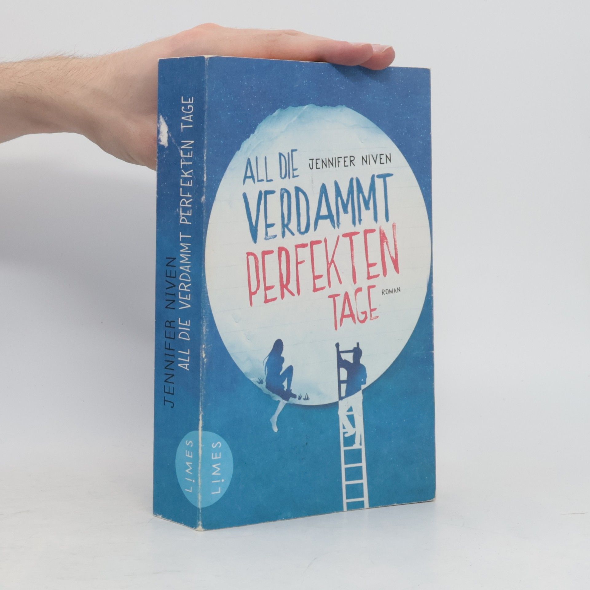 Jennifer Niven All die verdammt perfekten Tage