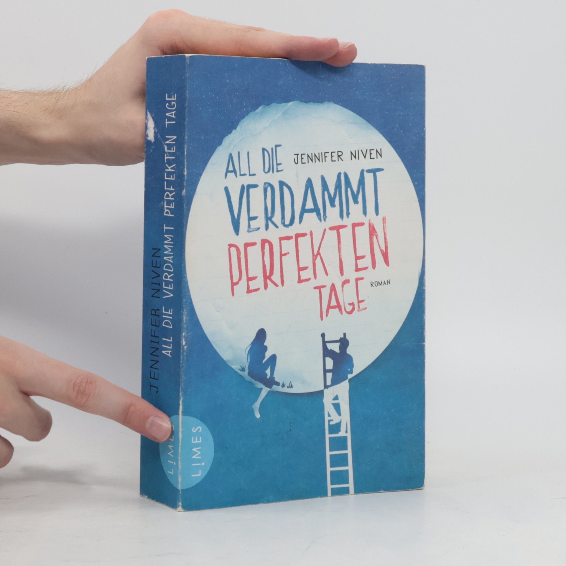Jennifer Niven All die verdammt perfekten Tage