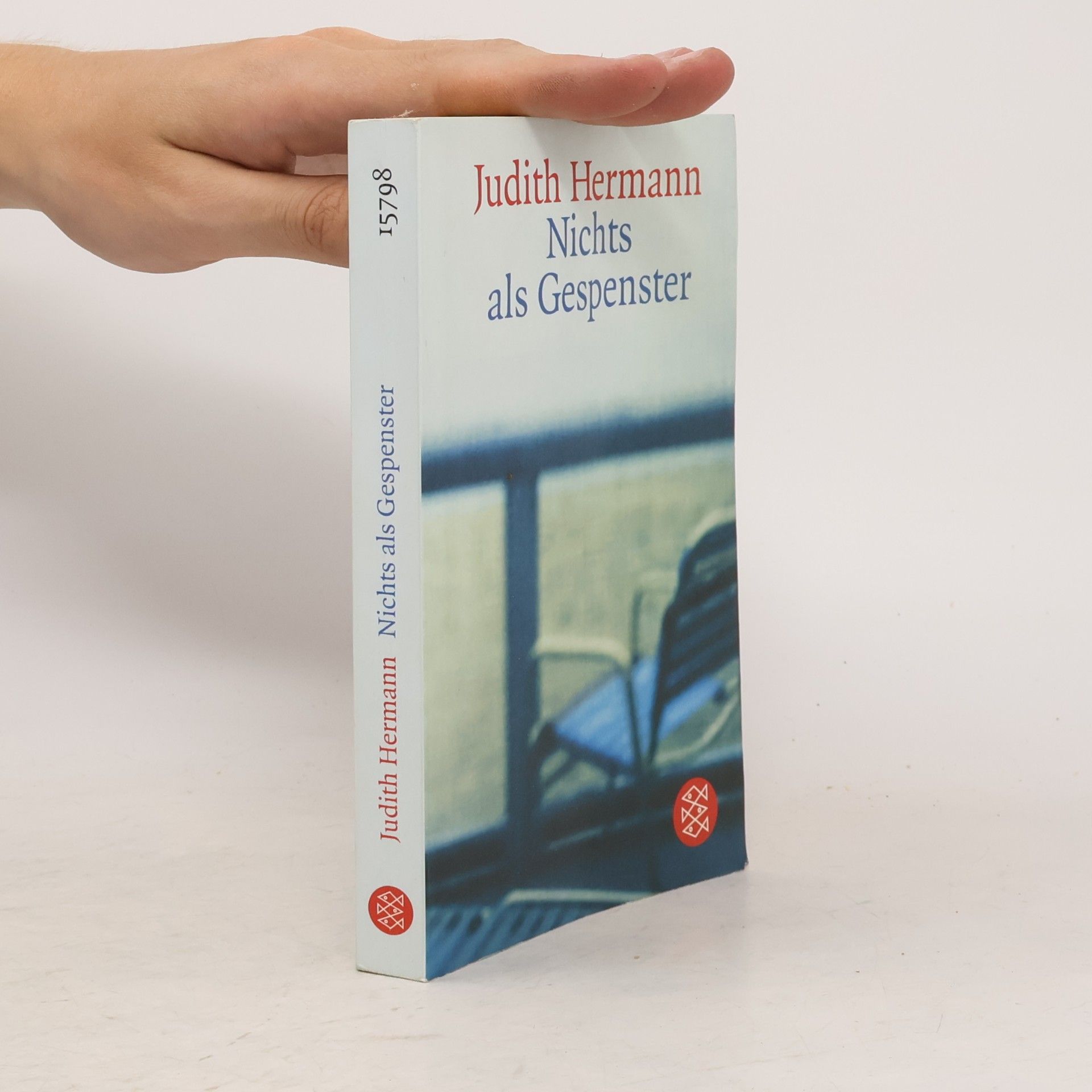 Judith Hermann Nichts als Gespenster