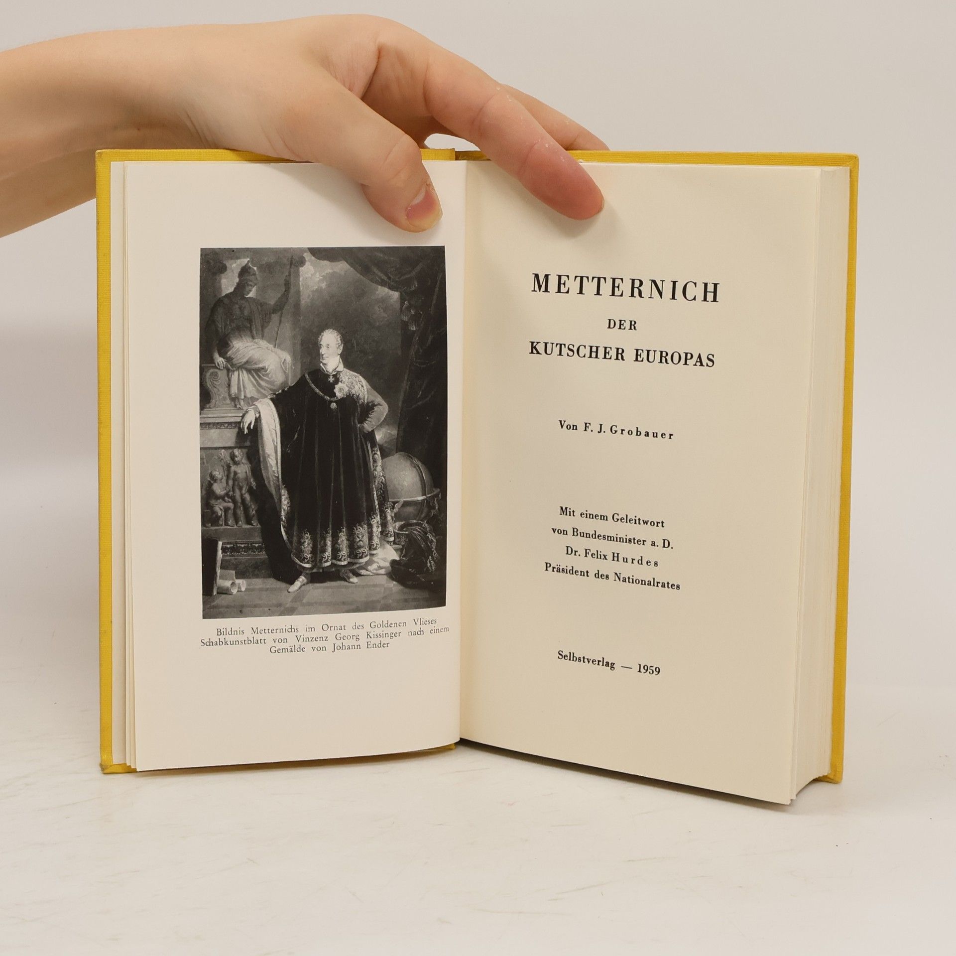 F. J. Grobauer Metternich der Kutscher Europas