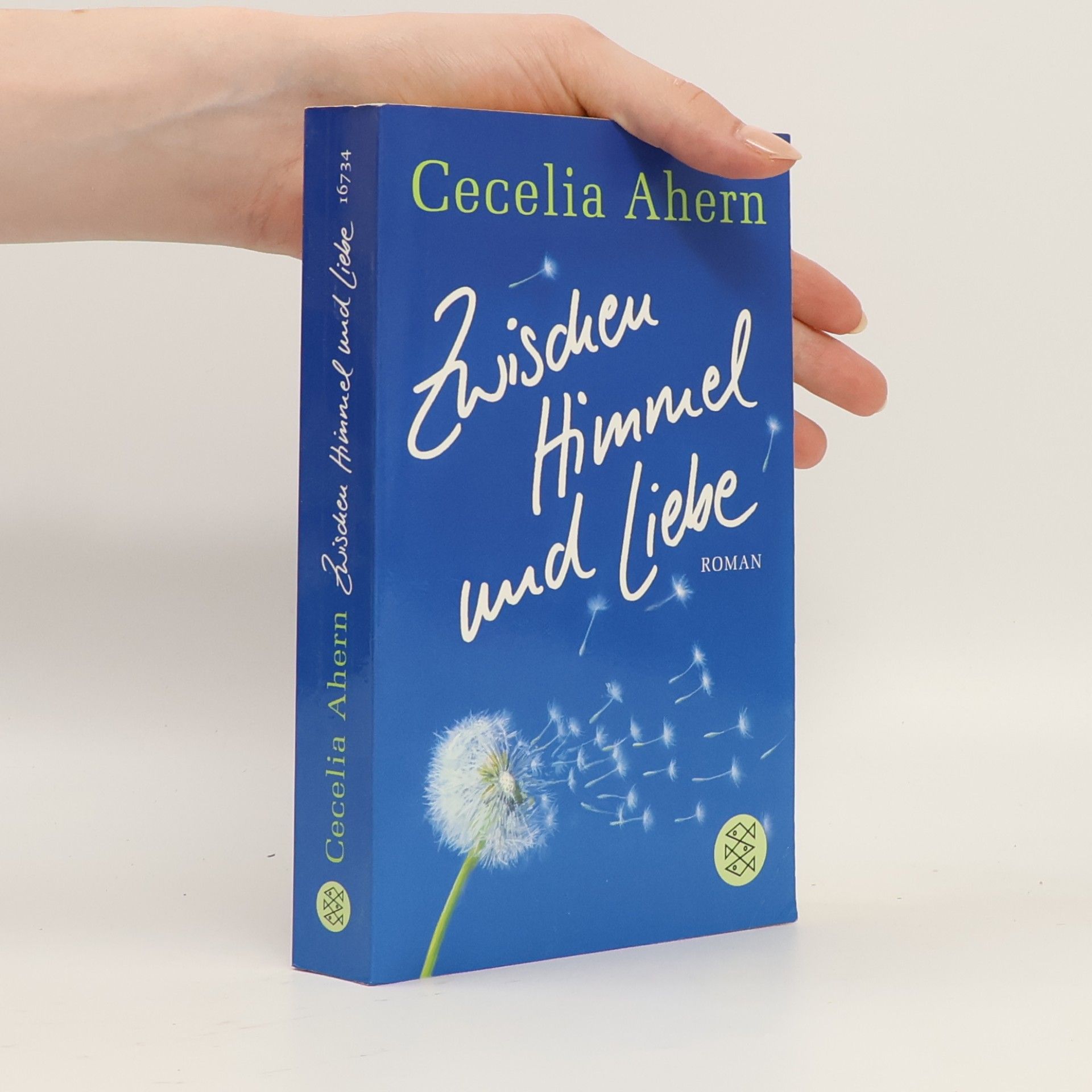 Cecelia Ahern Zwischen Himmel und Liebe