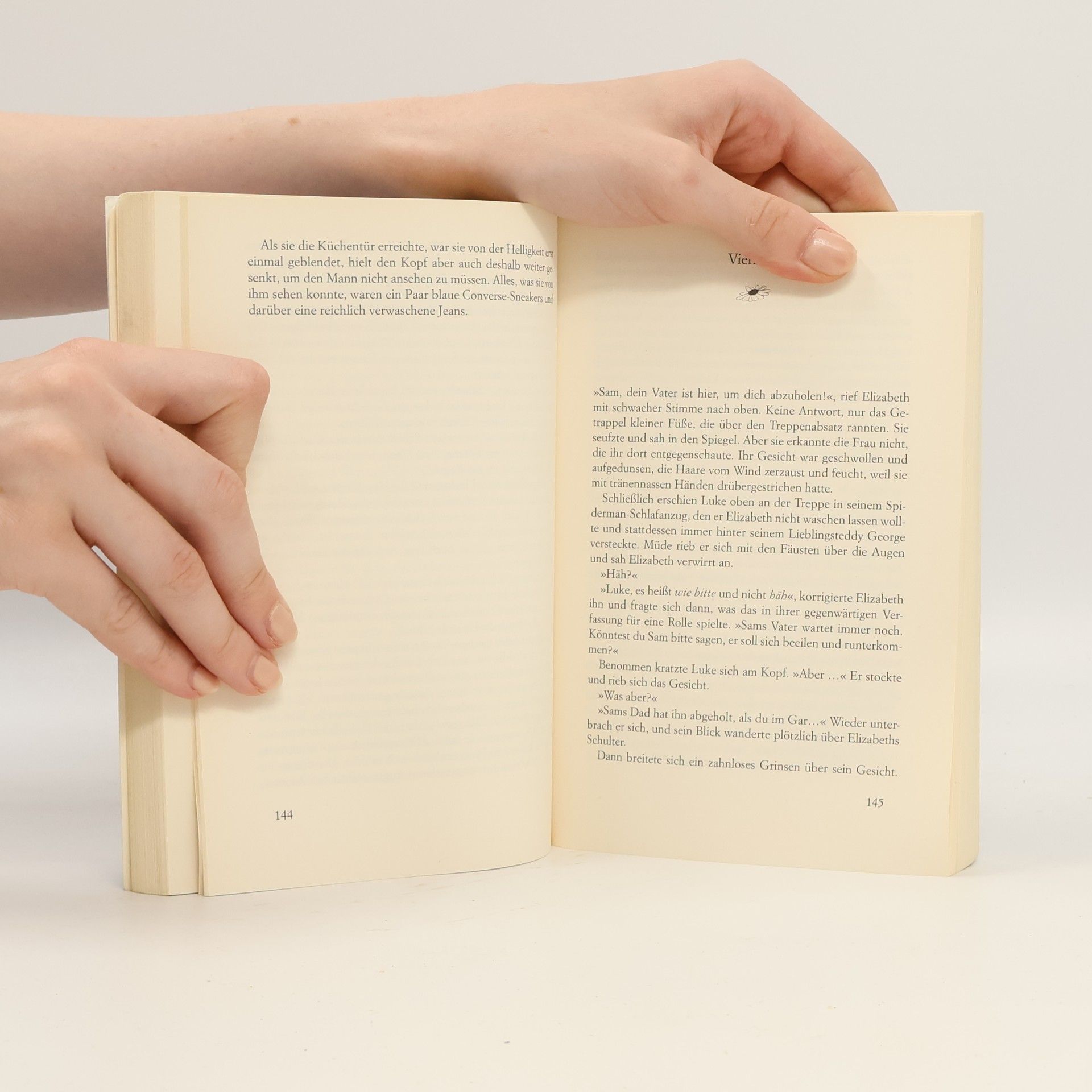 Cecelia Ahern Zwischen Himmel und Liebe