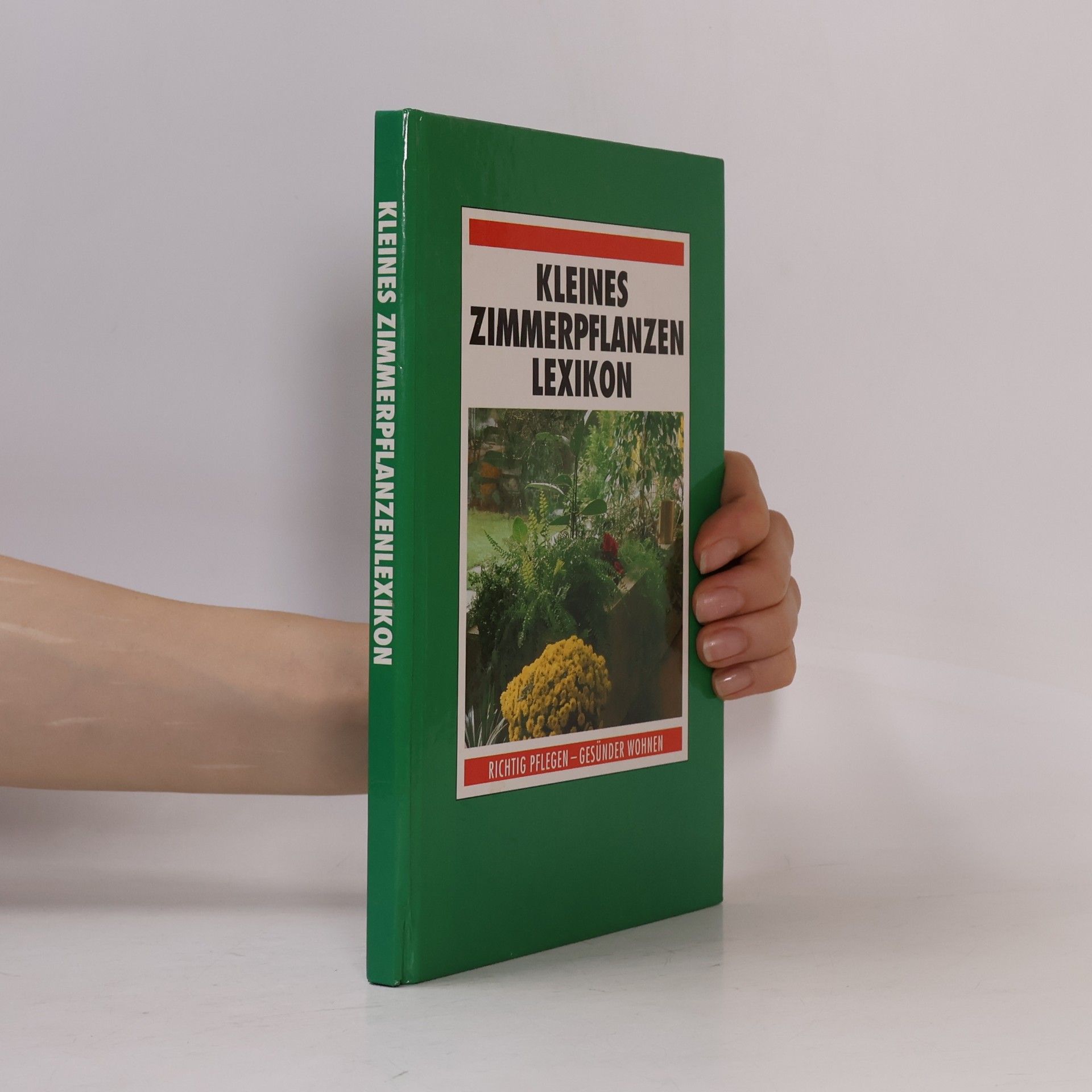 Autorenkollektiv Kleines Zimmerpflanzen Lexikon