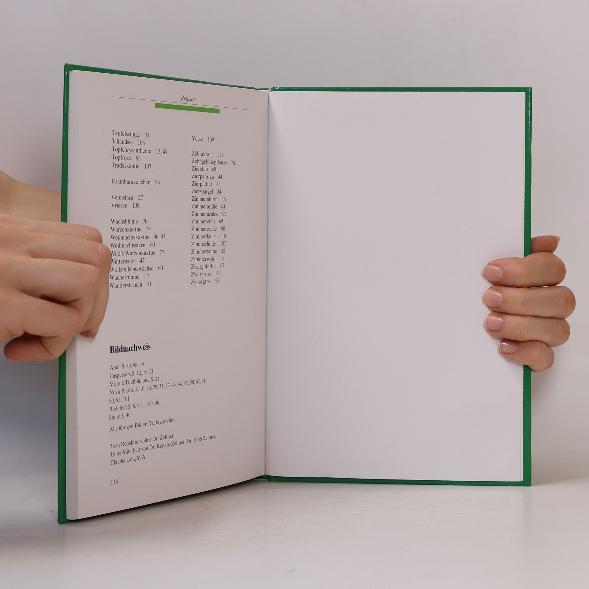 Autorenkollektiv Kleines Zimmerpflanzen Lexikon
