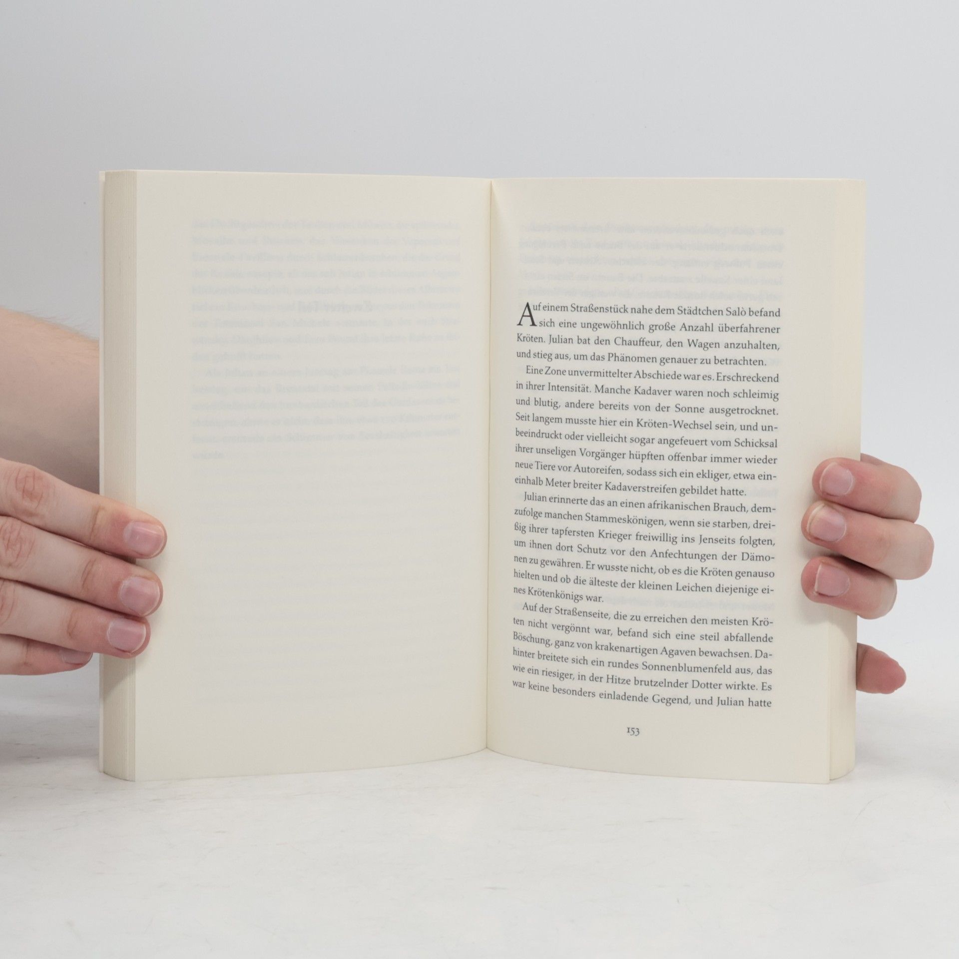 André Heller Das Buch vom Süden