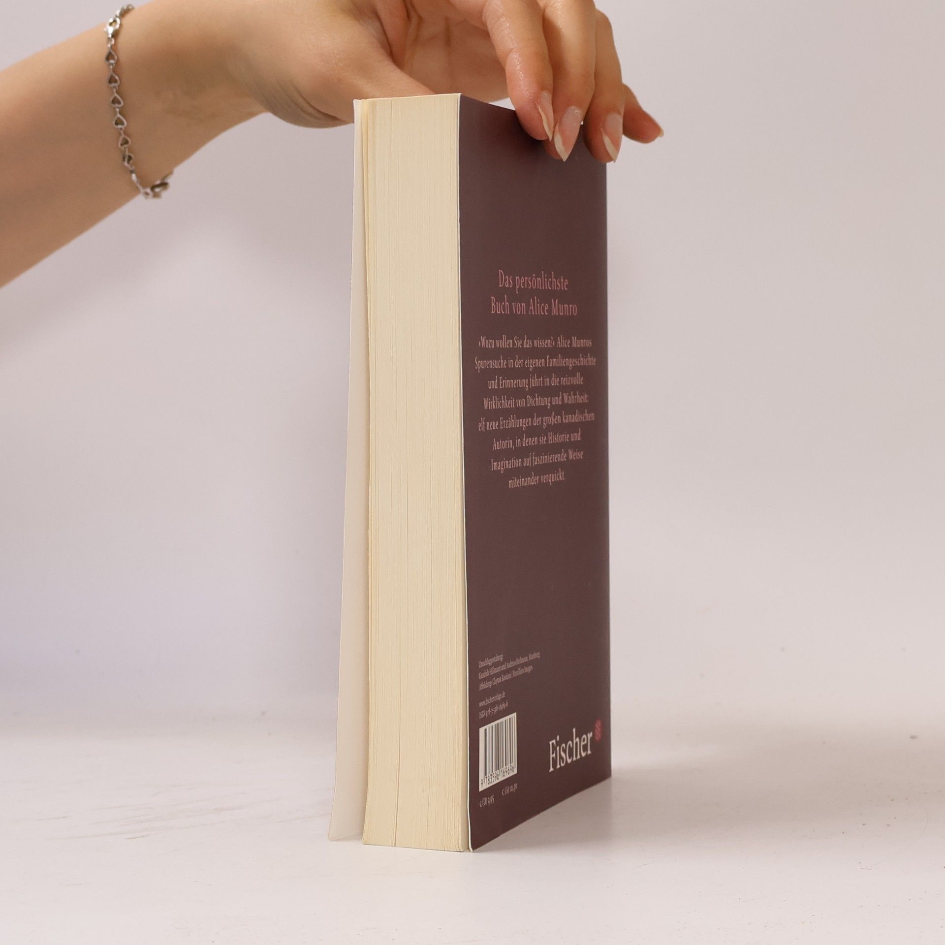 Alice Munro Wozu wollen Sie das wissen?