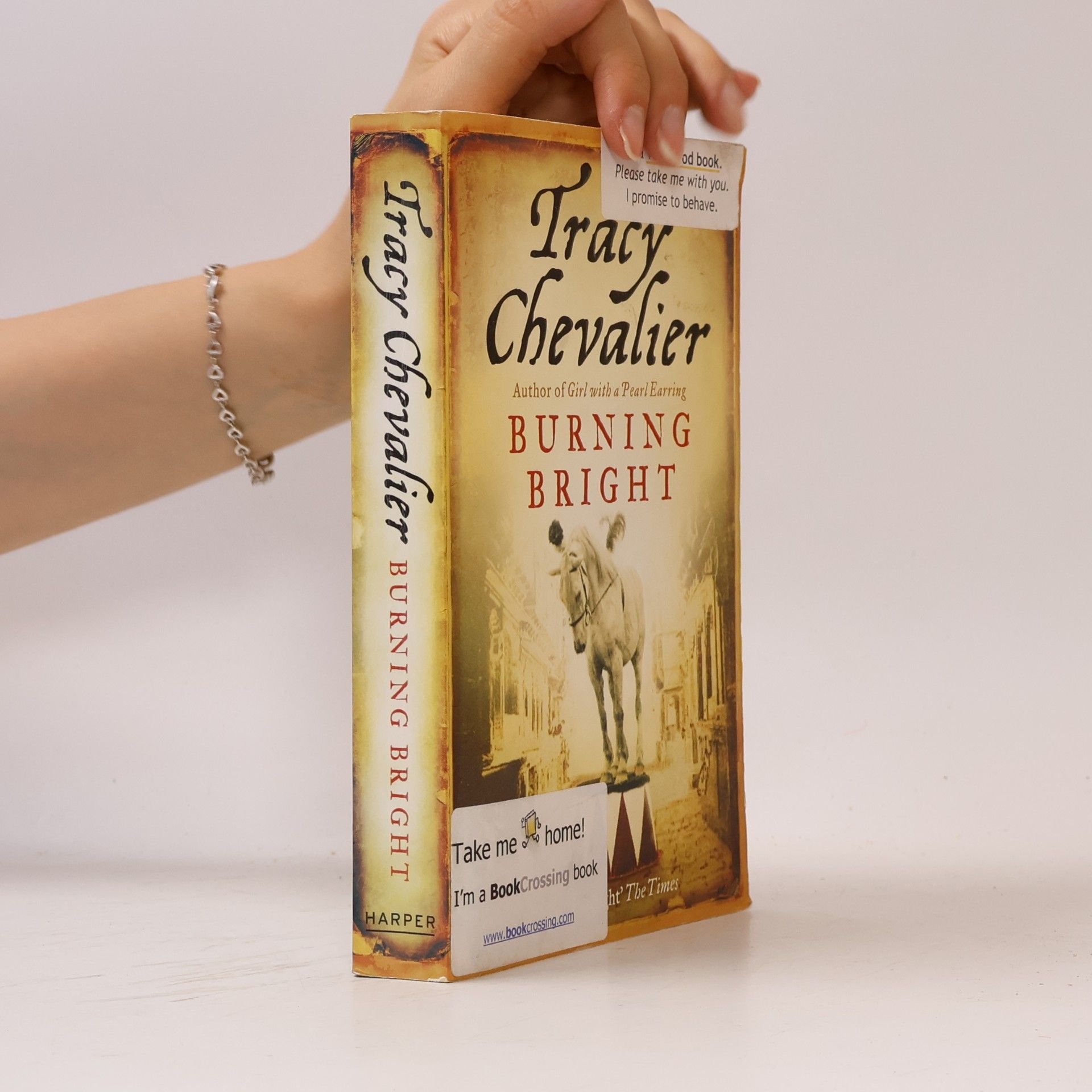 Tracy Chevalier Burning Bright