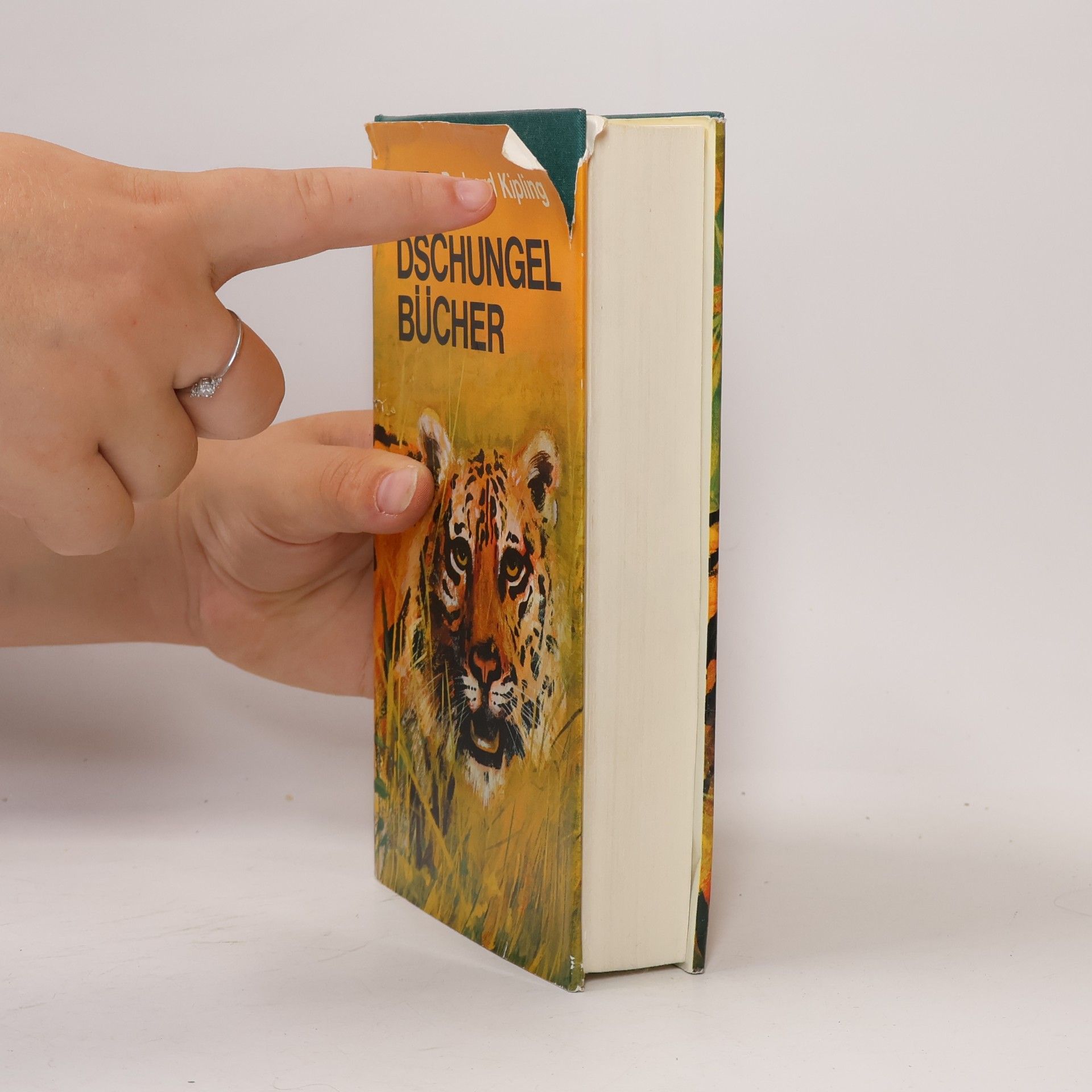 Rudyard Kipling Die Dschungel Bücher