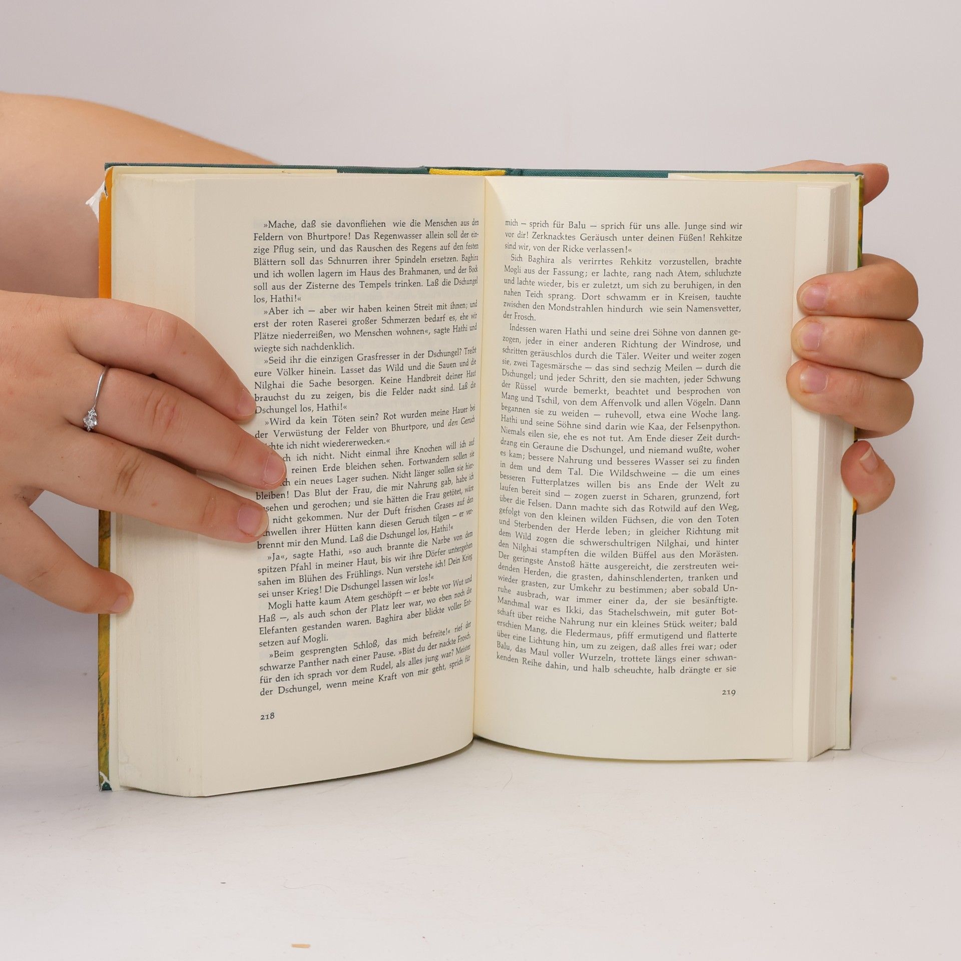 Rudyard Kipling Die Dschungel Bücher